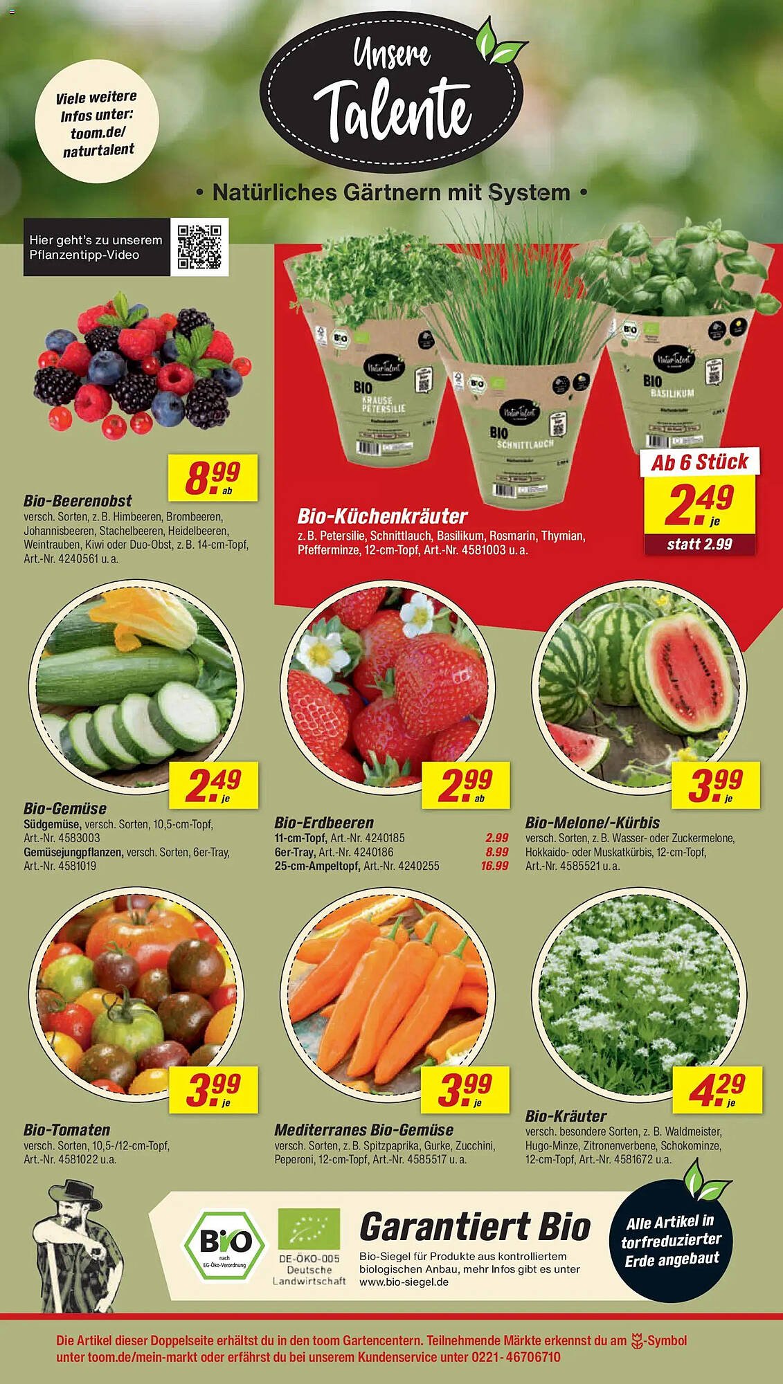 Toom Baumarkt Prospekt