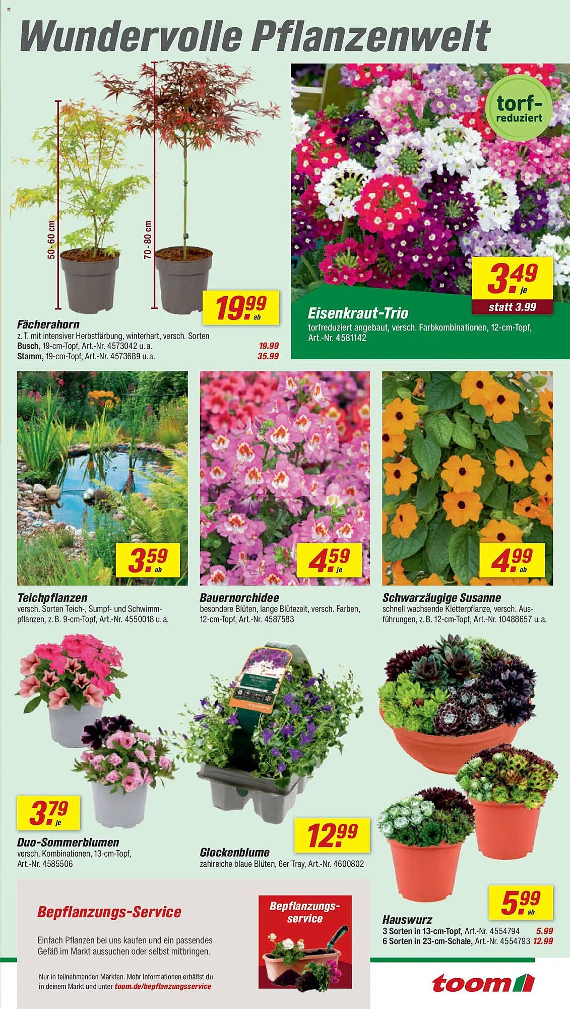 Toom Baumarkt Prospekt