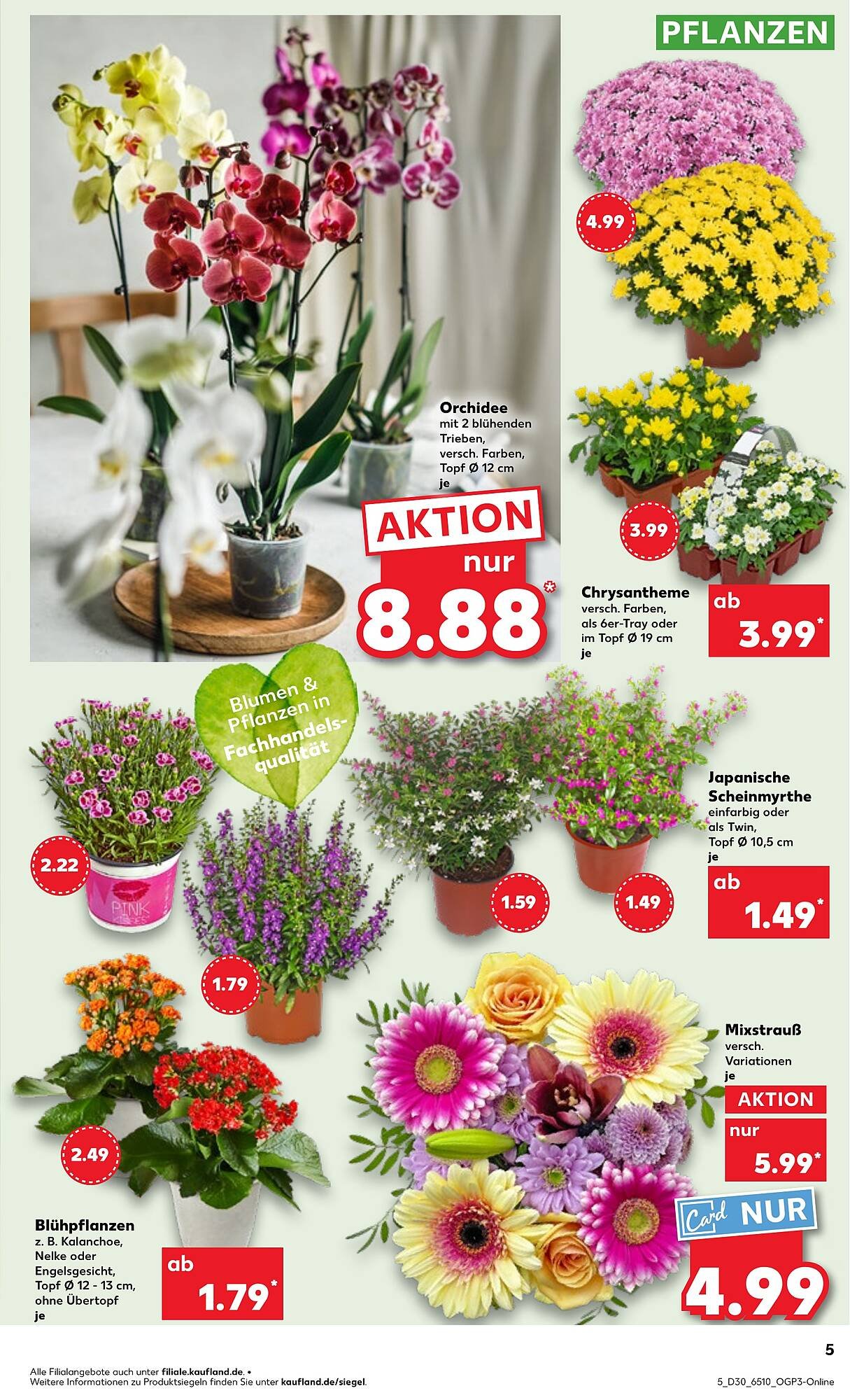 Kaufland Prospekt (2025-07-24 - 2025-07-30) | 5