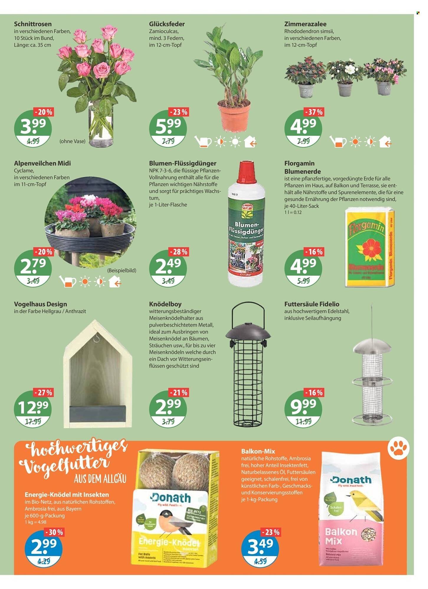 V Markt Prospekt (2026-01-15 - 2026-01-21)