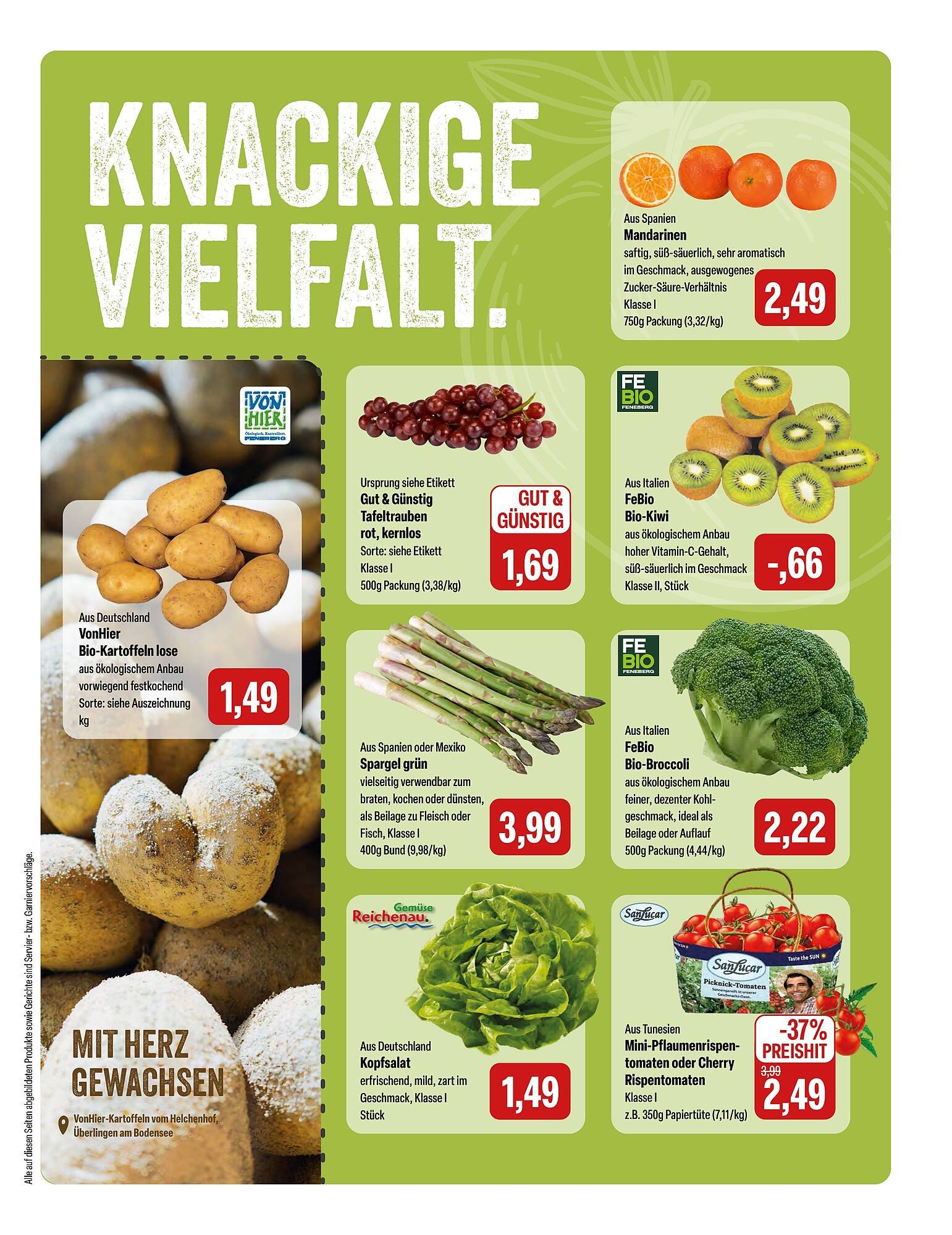 Feneberg Prospekt (2026-03-12 - 2026-03-14)