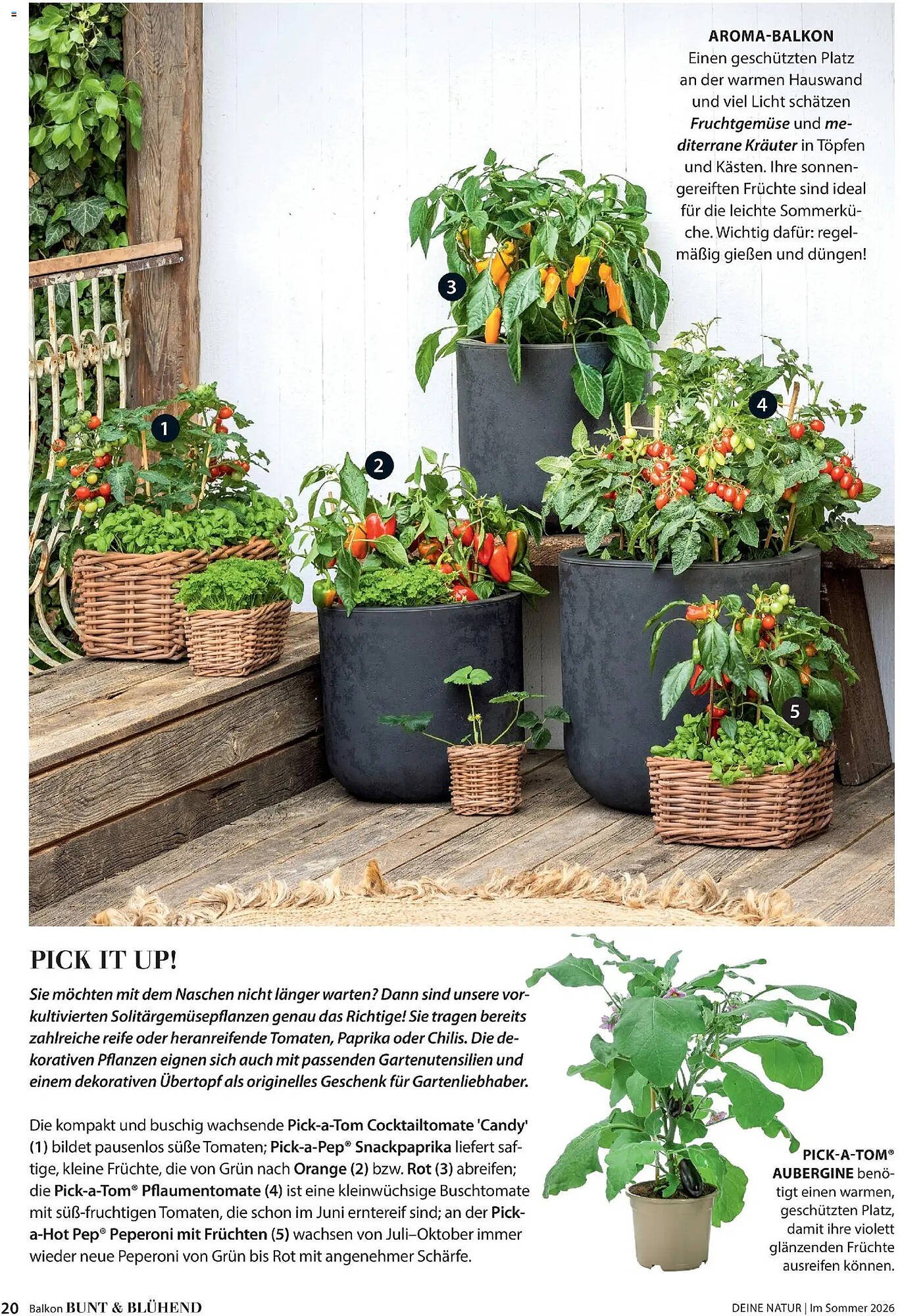 Dehner Prospekt (2026-04-17 - 2026-08-31)