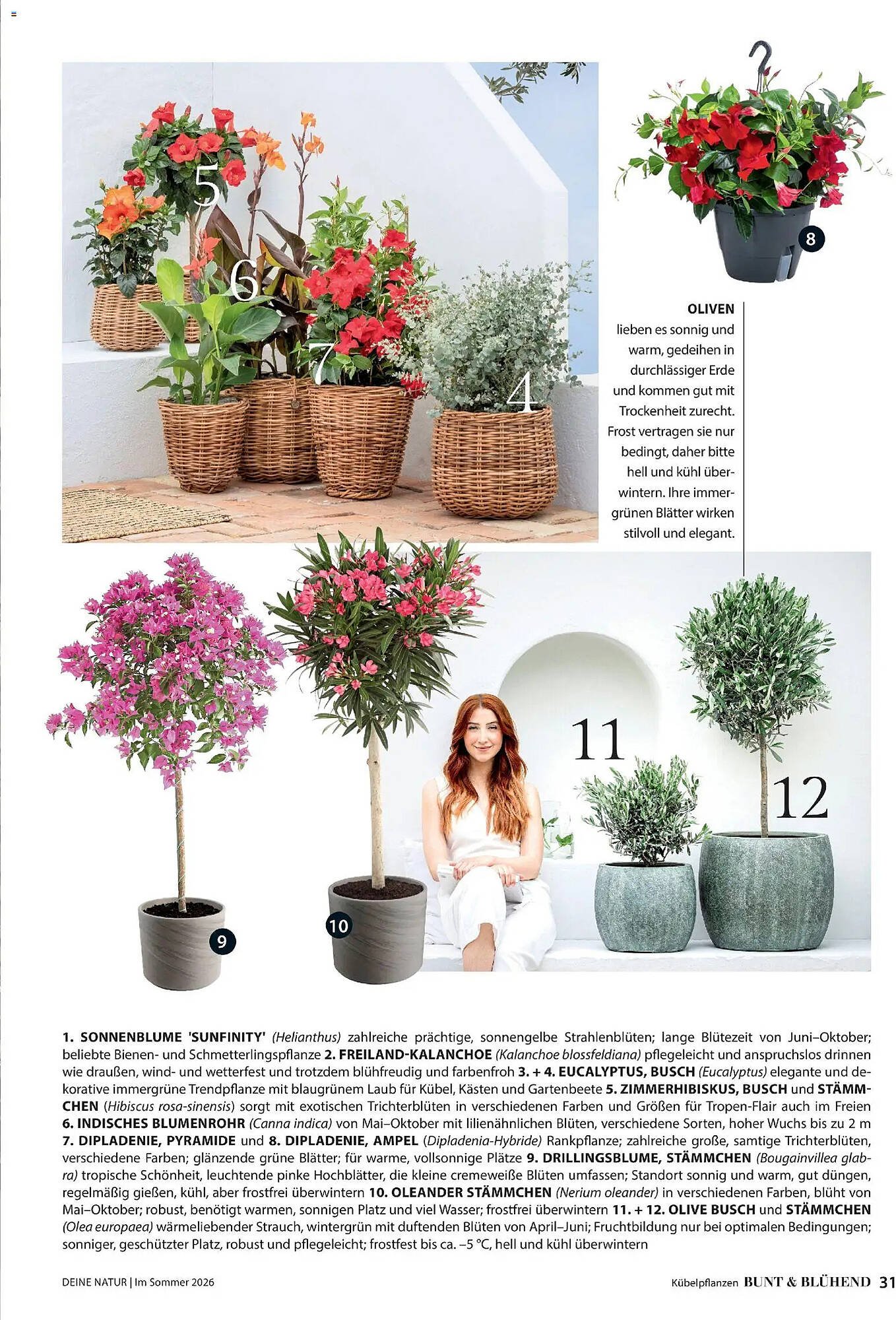 Dehner Prospekt (2026-04-17 - 2026-08-31)