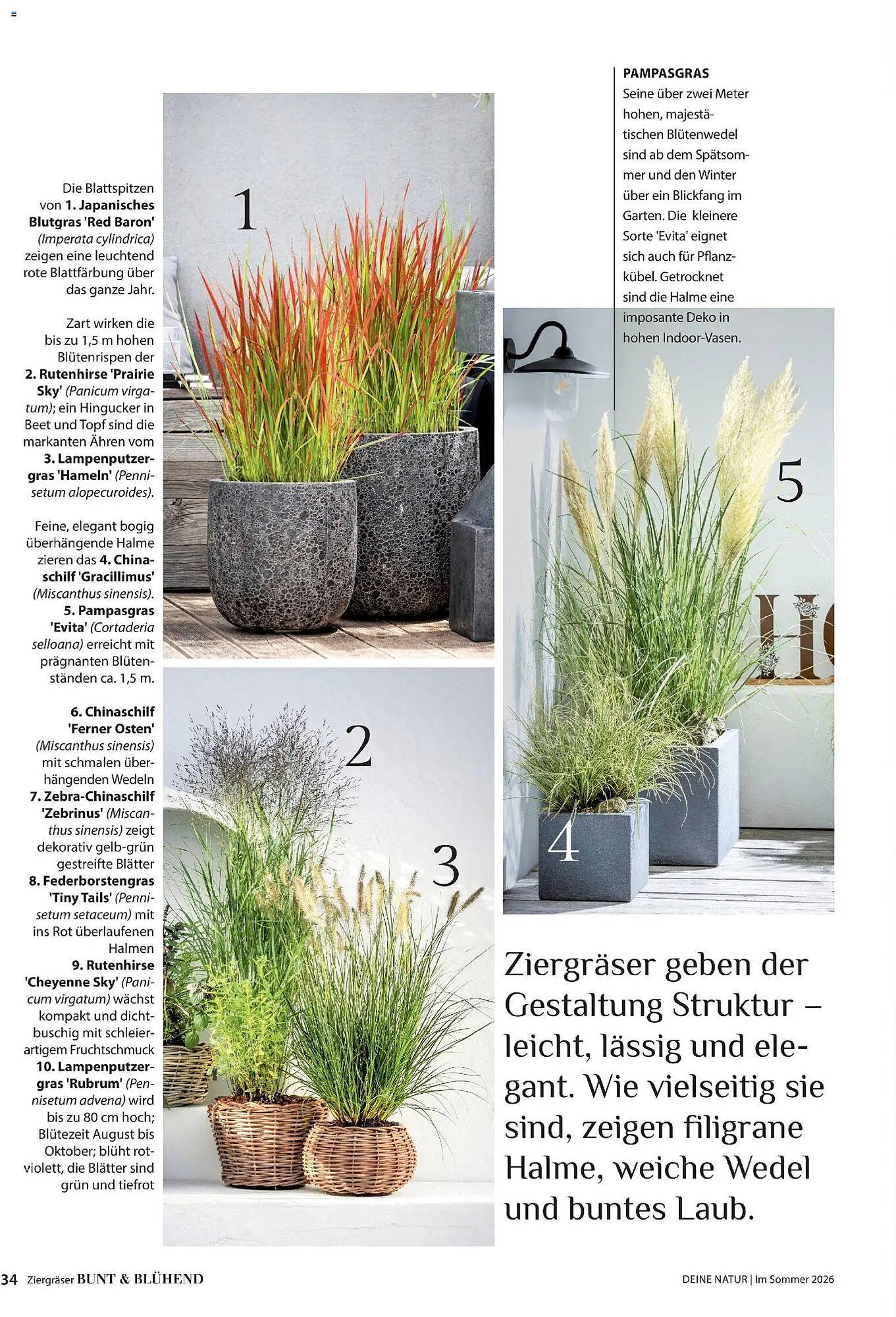 Dehner Prospekt (2026-04-17 - 2026-08-31)