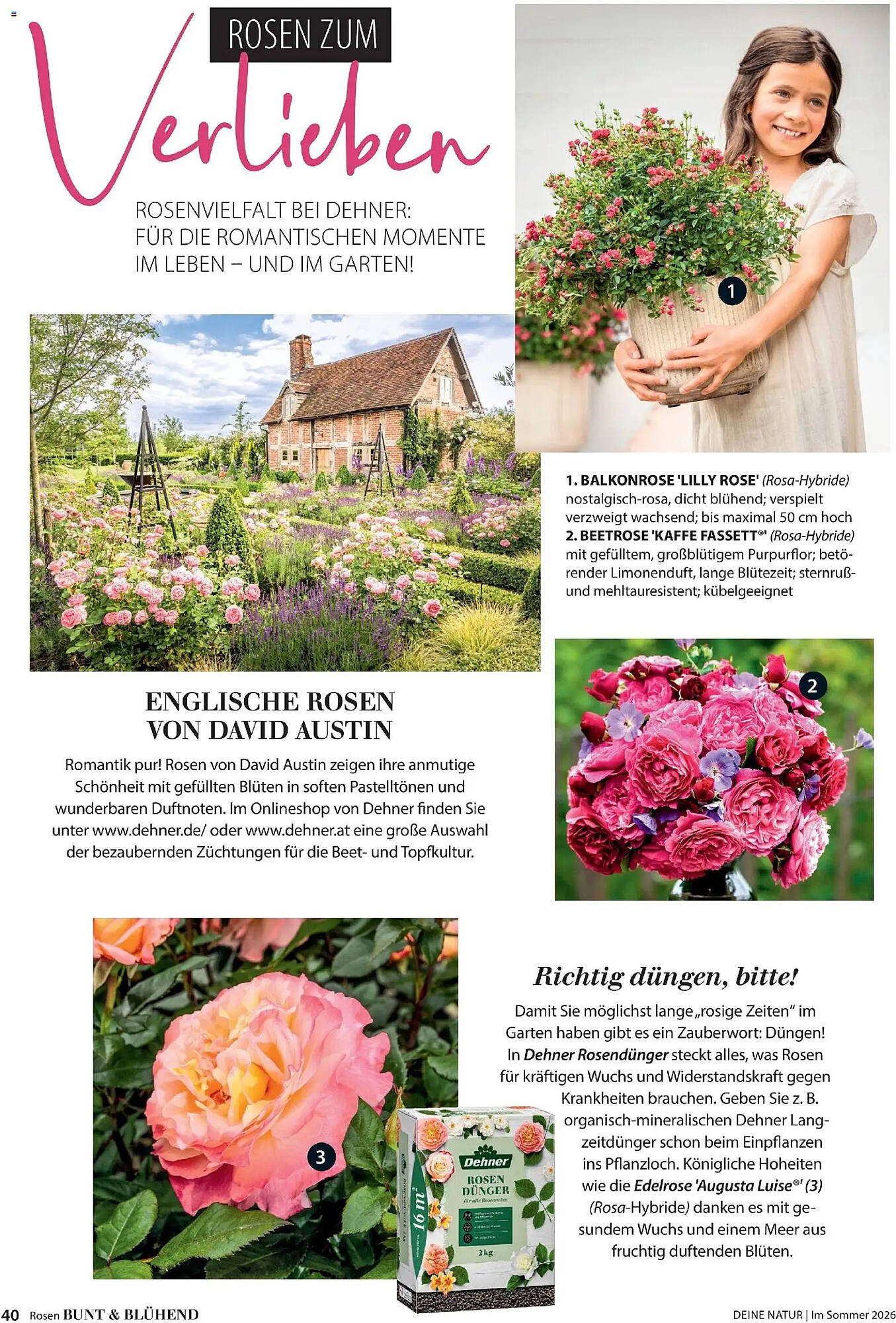 Dehner Prospekt (2026-04-17 - 2026-08-31)