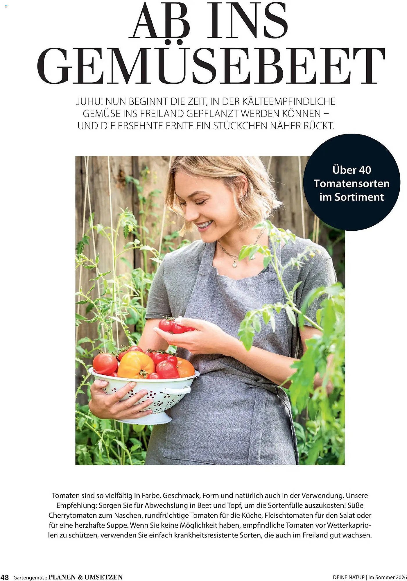 Dehner Prospekt (2026-04-17 - 2026-08-31)