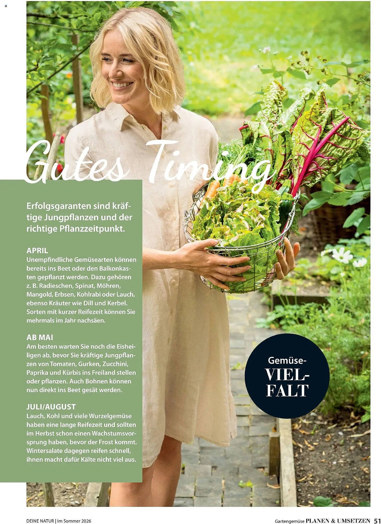 Dehner Prospekt (2026-04-17 - 2026-08-31)