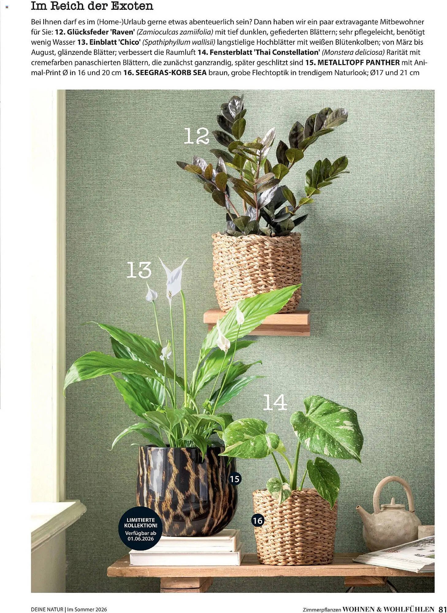 Dehner Prospekt (2026-04-17 - 2026-08-31)