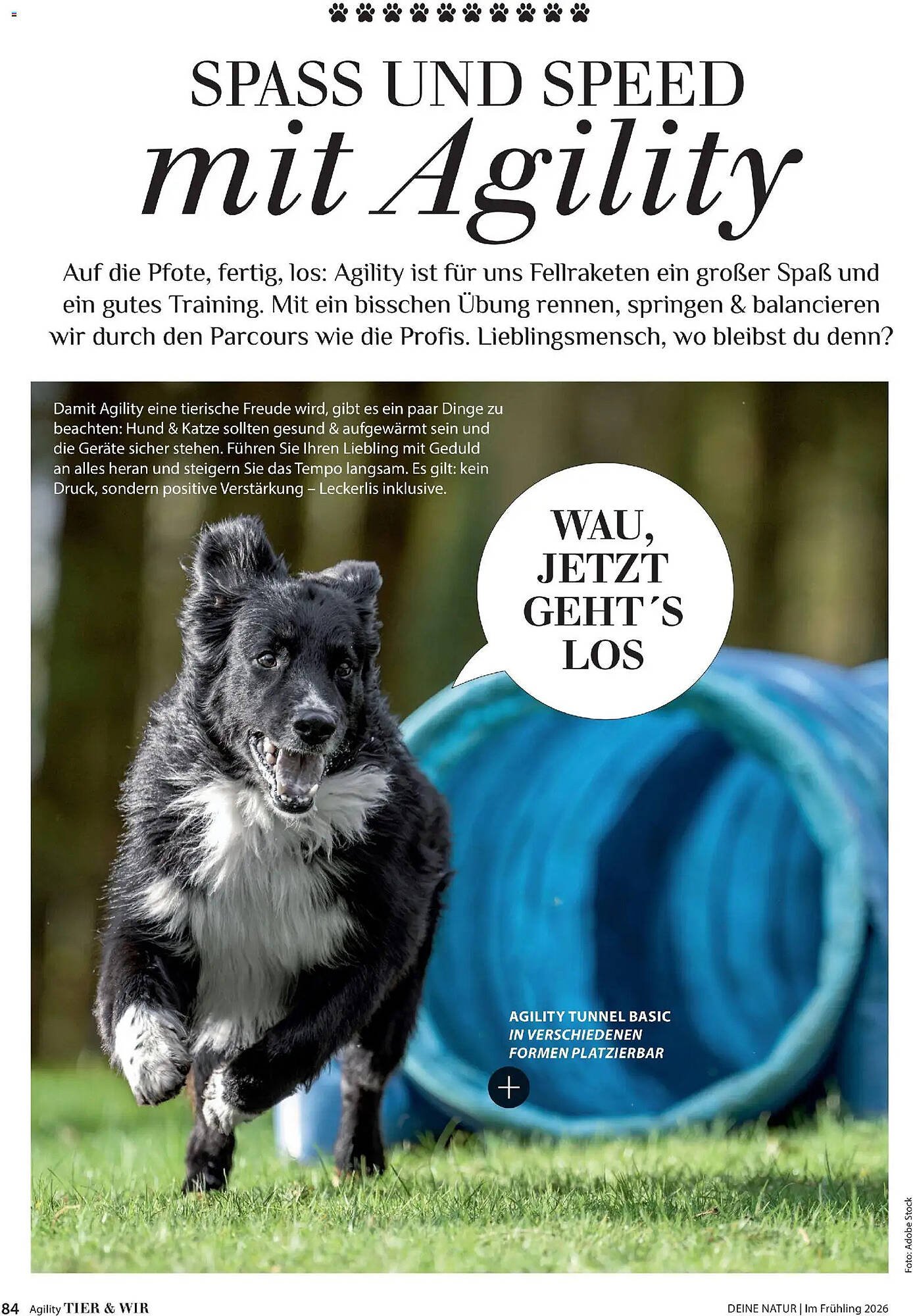 Dehner Prospekt (2026-04-17 - 2026-08-31)