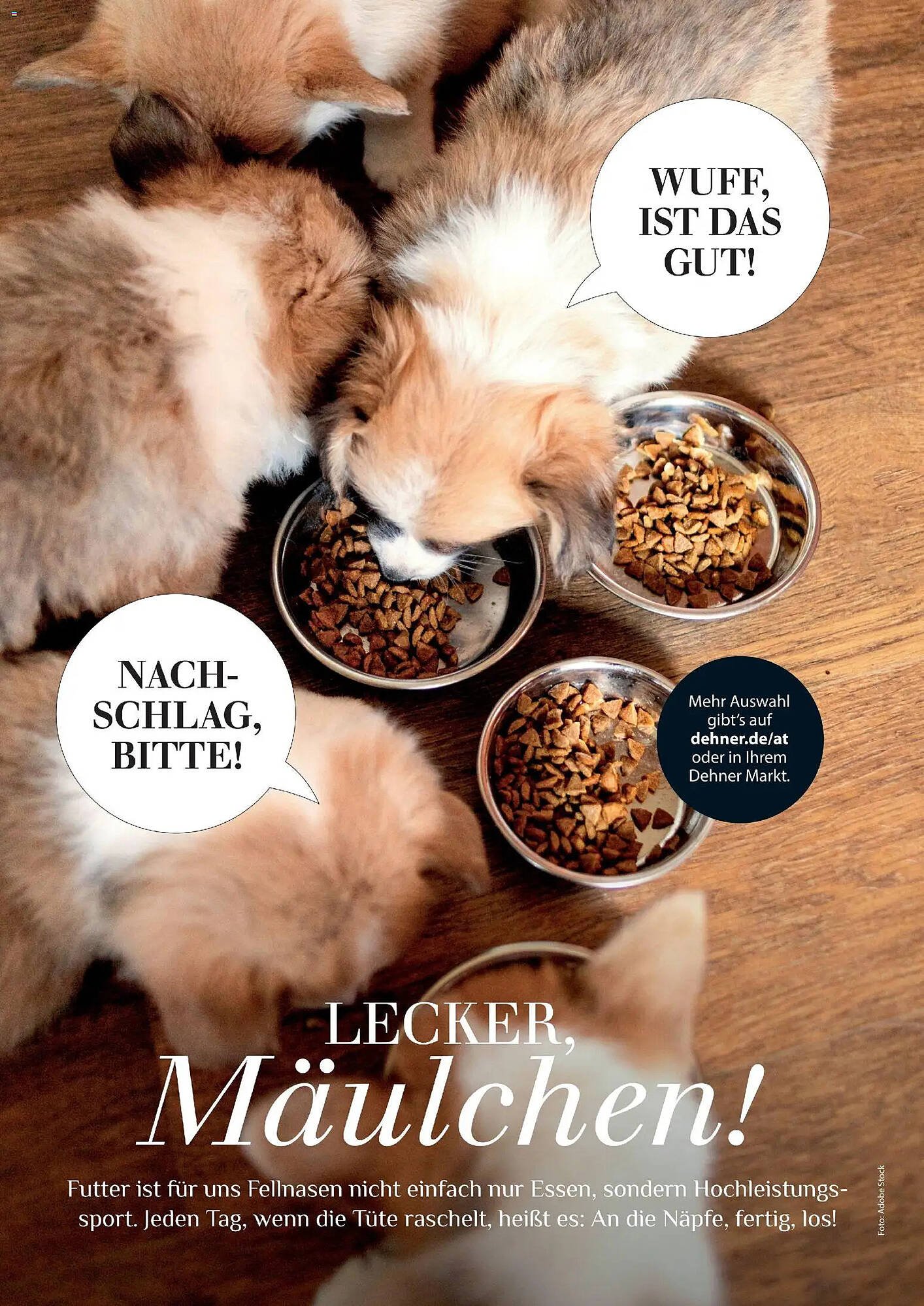 Dehner Prospekt (2026-04-17 - 2026-08-31)