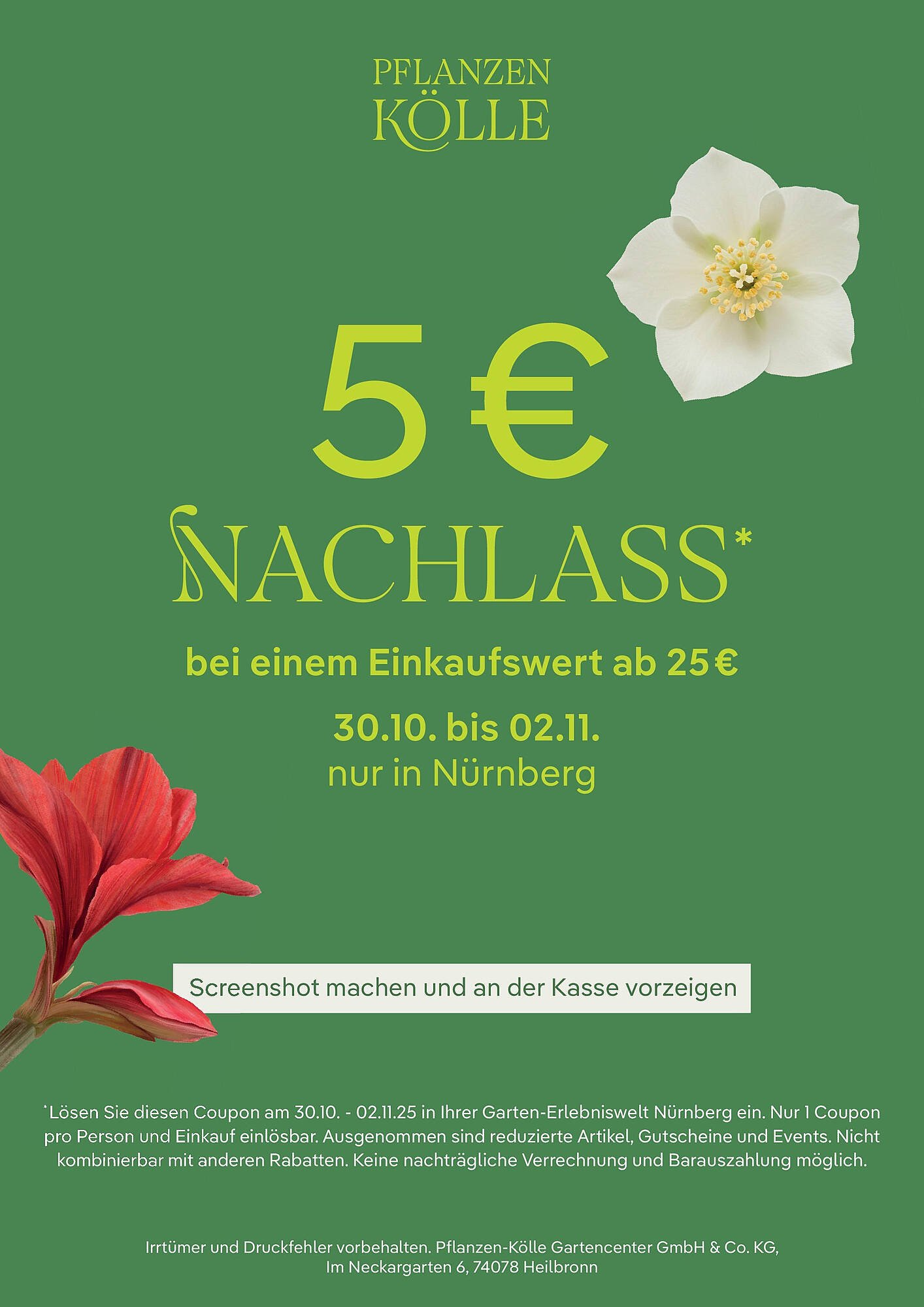 Pflanzen Kölle Prospekt (2025-10-26 - 2025-10-31)