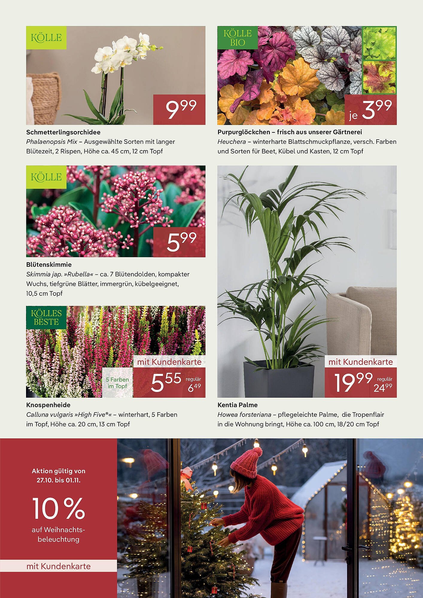 Pflanzen Kölle Prospekt (2025-10-26 - 2025-10-31)