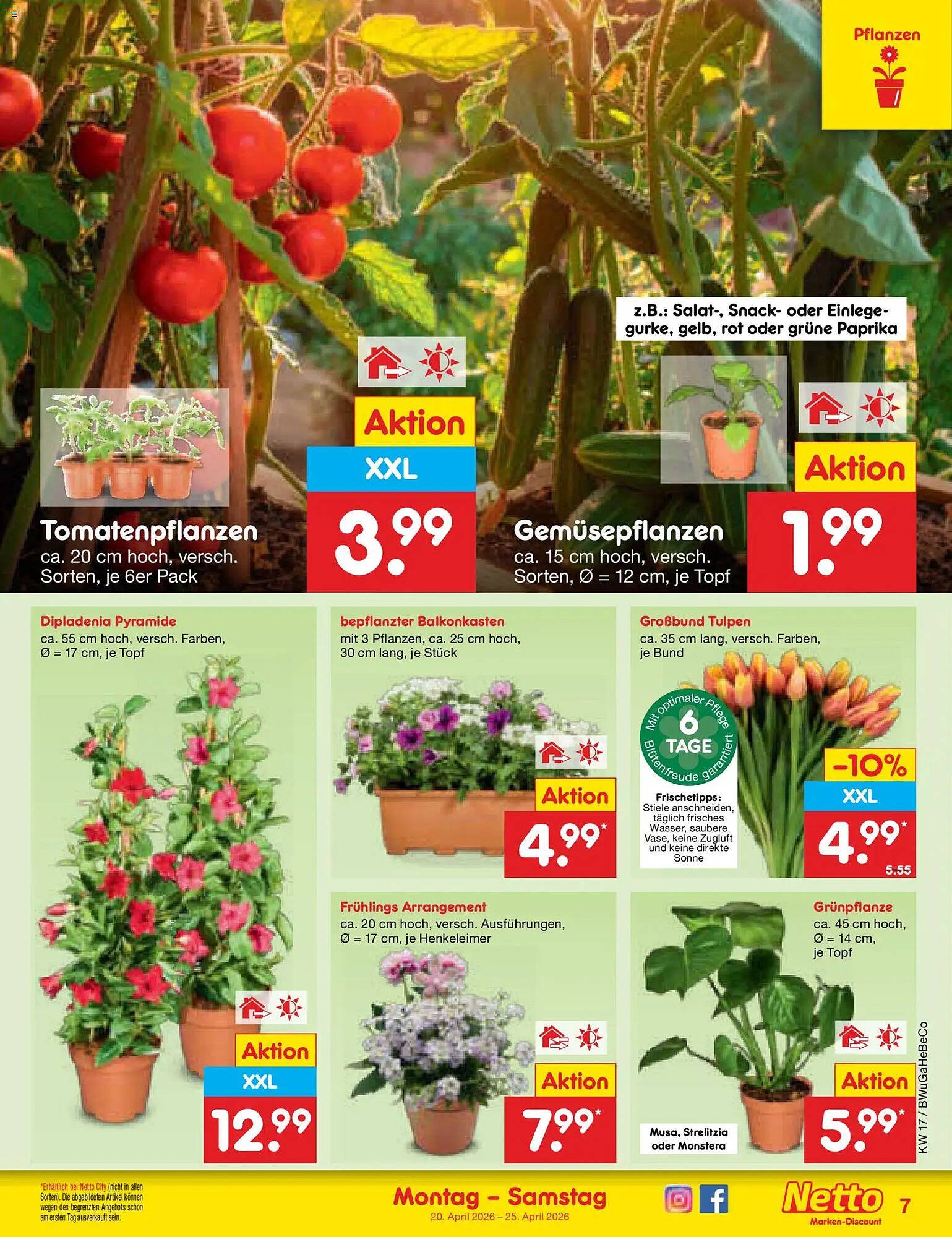 Netto Marken-Discount Prospekt (2026-04-20 - 2026-04-25)