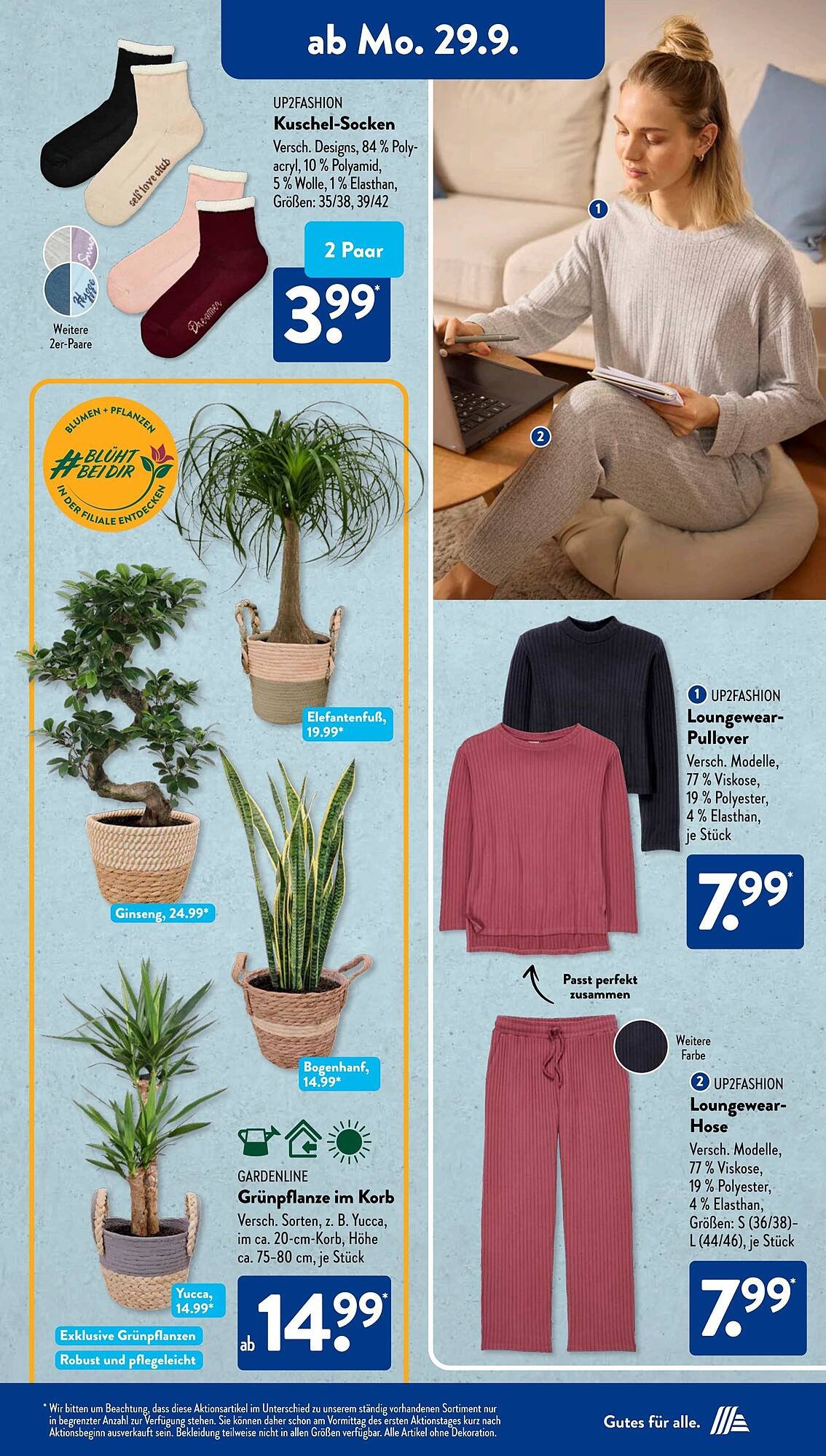 Aldi Süd Prospekt (2025-09-29 - 2025-10-05) | 2