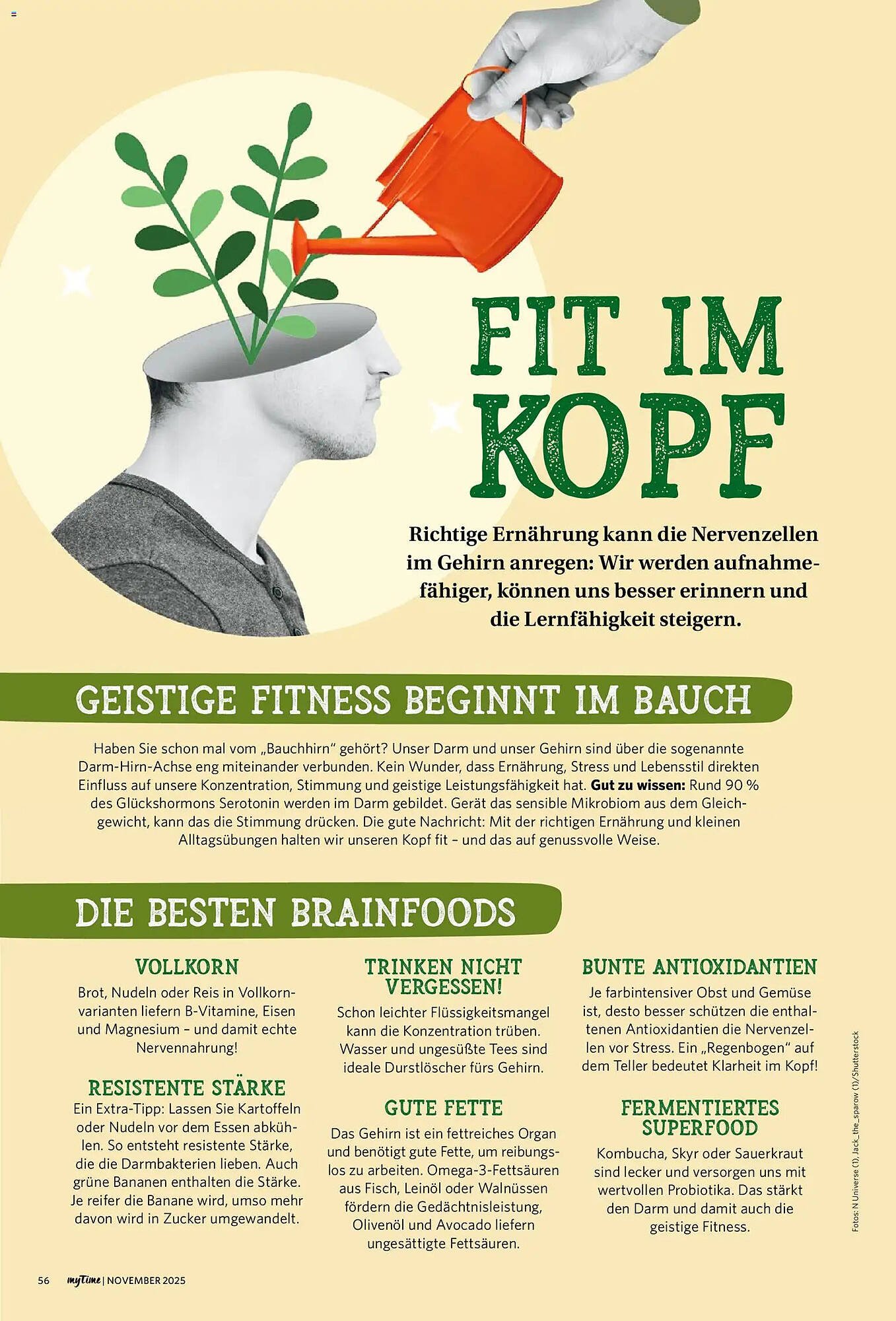 Combi Prospekt (2025-11-01 - 2025-11-30)