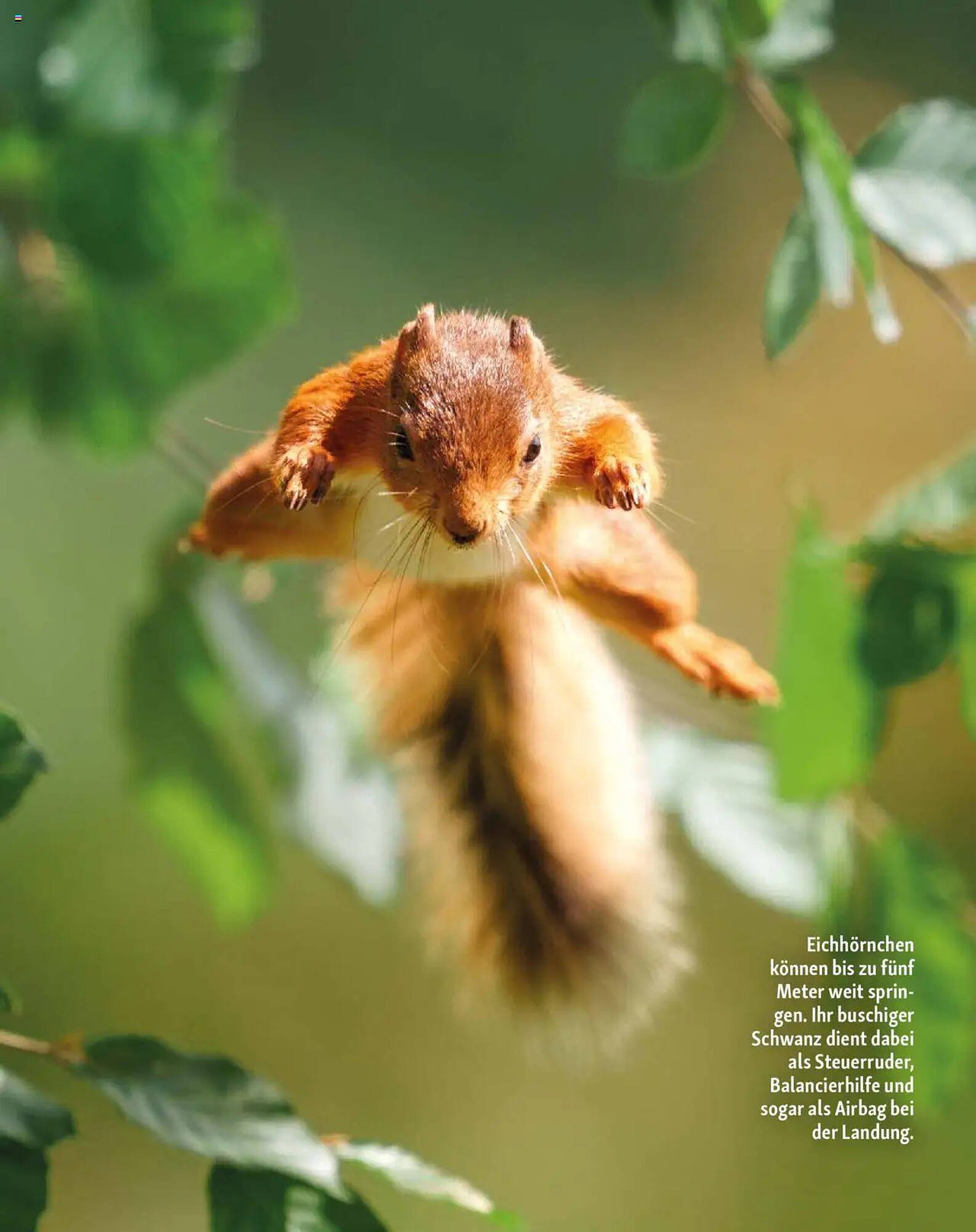 Fressnapf Magazin (2025-09-01 - 2025-10-31)