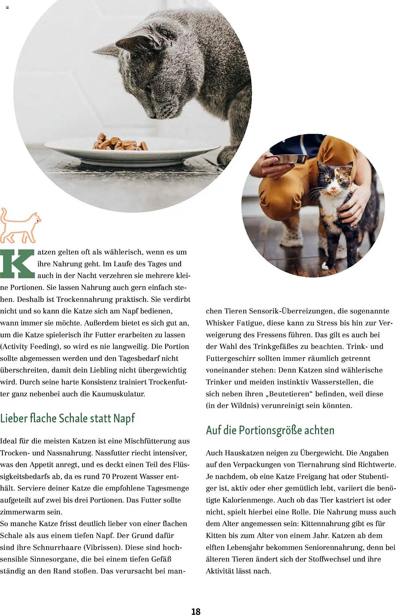 Fressnapf Magazin (2025-09-01 - 2025-10-31) | 18