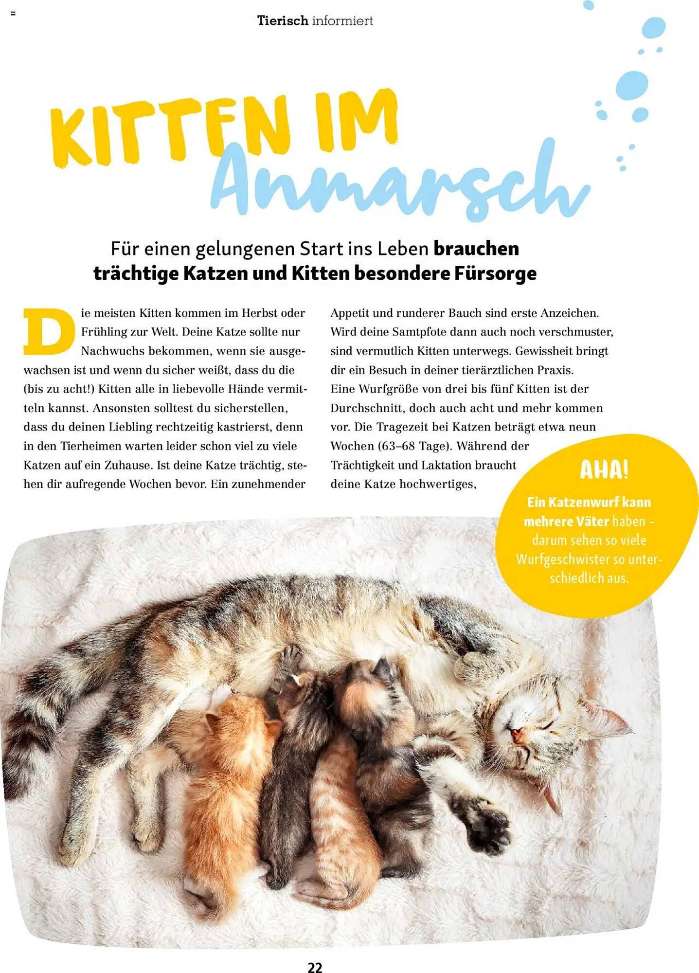 Fressnapf Magazin (2025-09-01 - 2025-10-31)