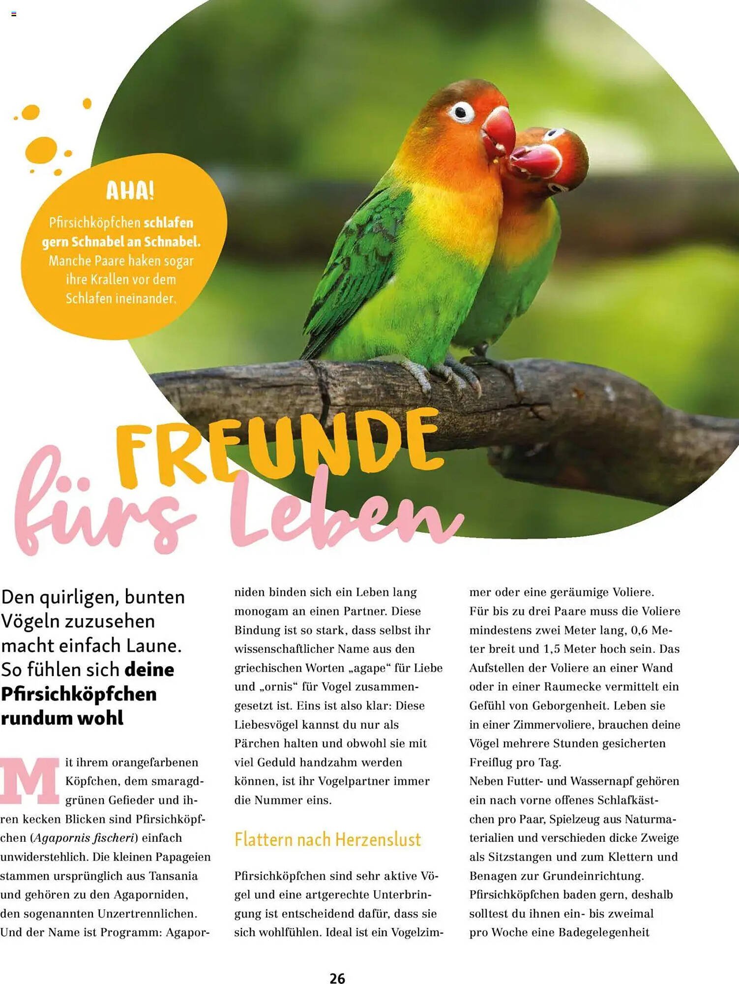 Fressnapf Magazin (2025-09-01 - 2025-10-31)