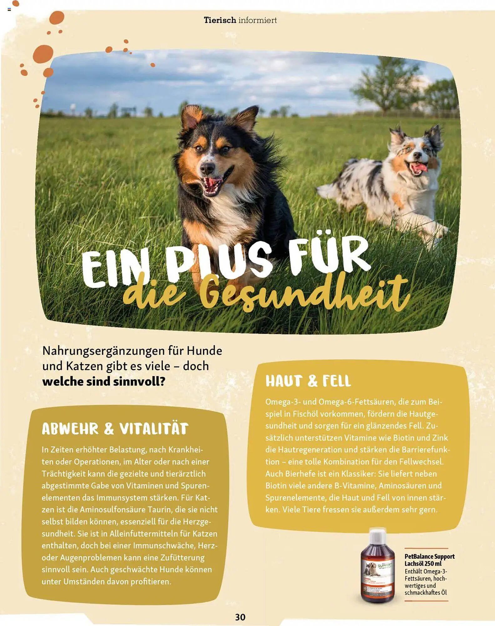 Fressnapf Magazin (2025-09-01 - 2025-10-31)