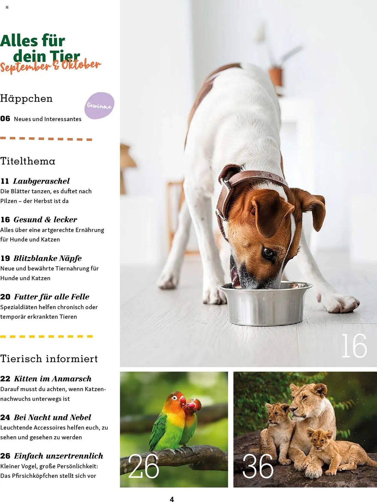 Fressnapf Magazin (2025-09-01 - 2025-10-31)
