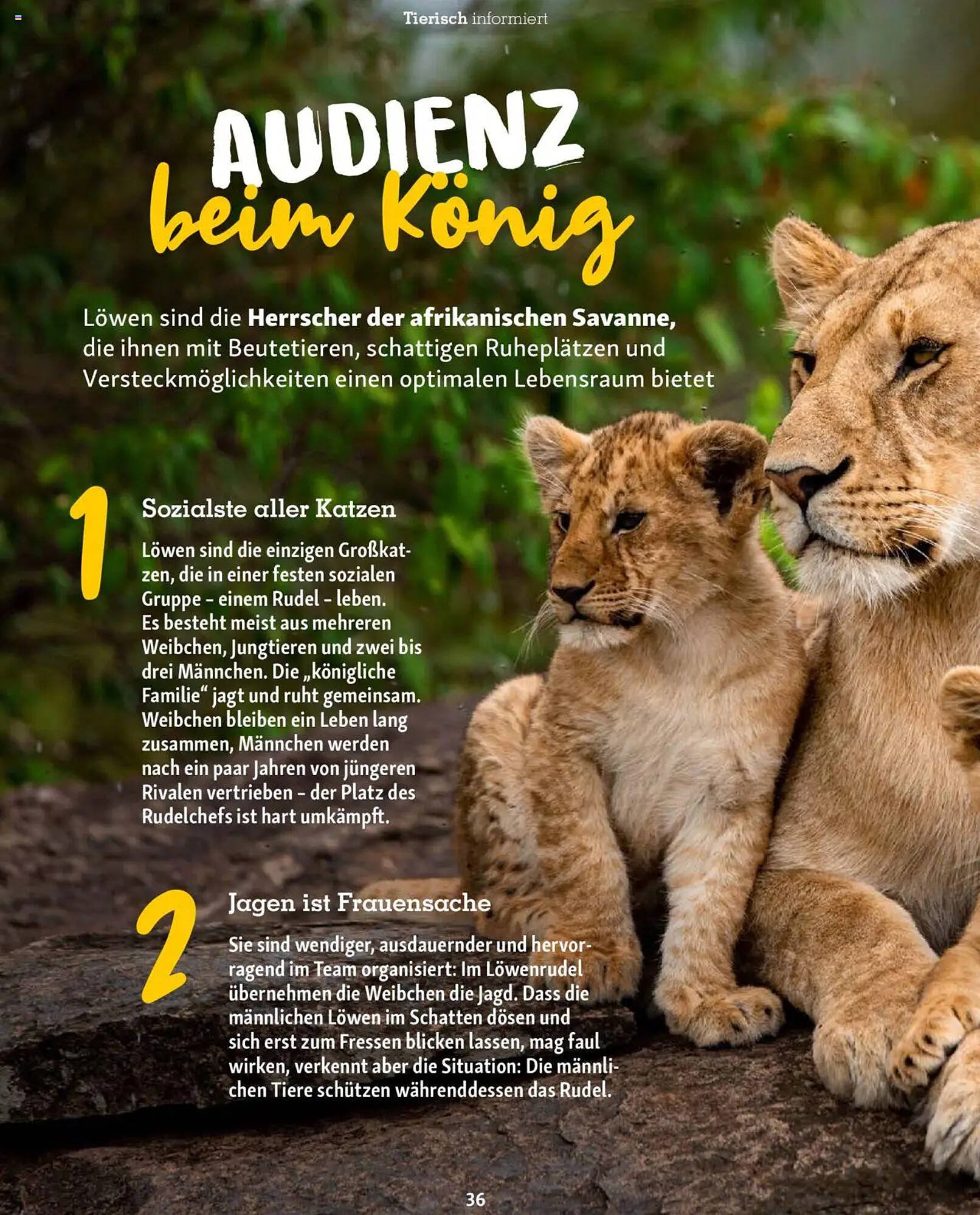 Fressnapf Magazin (2025-09-01 - 2025-10-31)