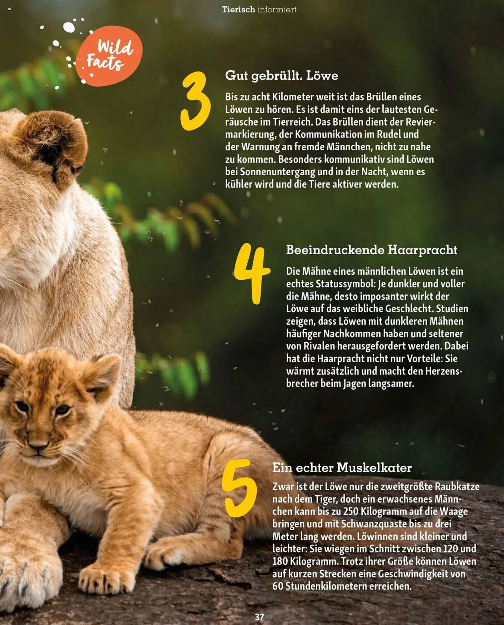 Fressnapf Magazin (2025-09-01 - 2025-10-31)