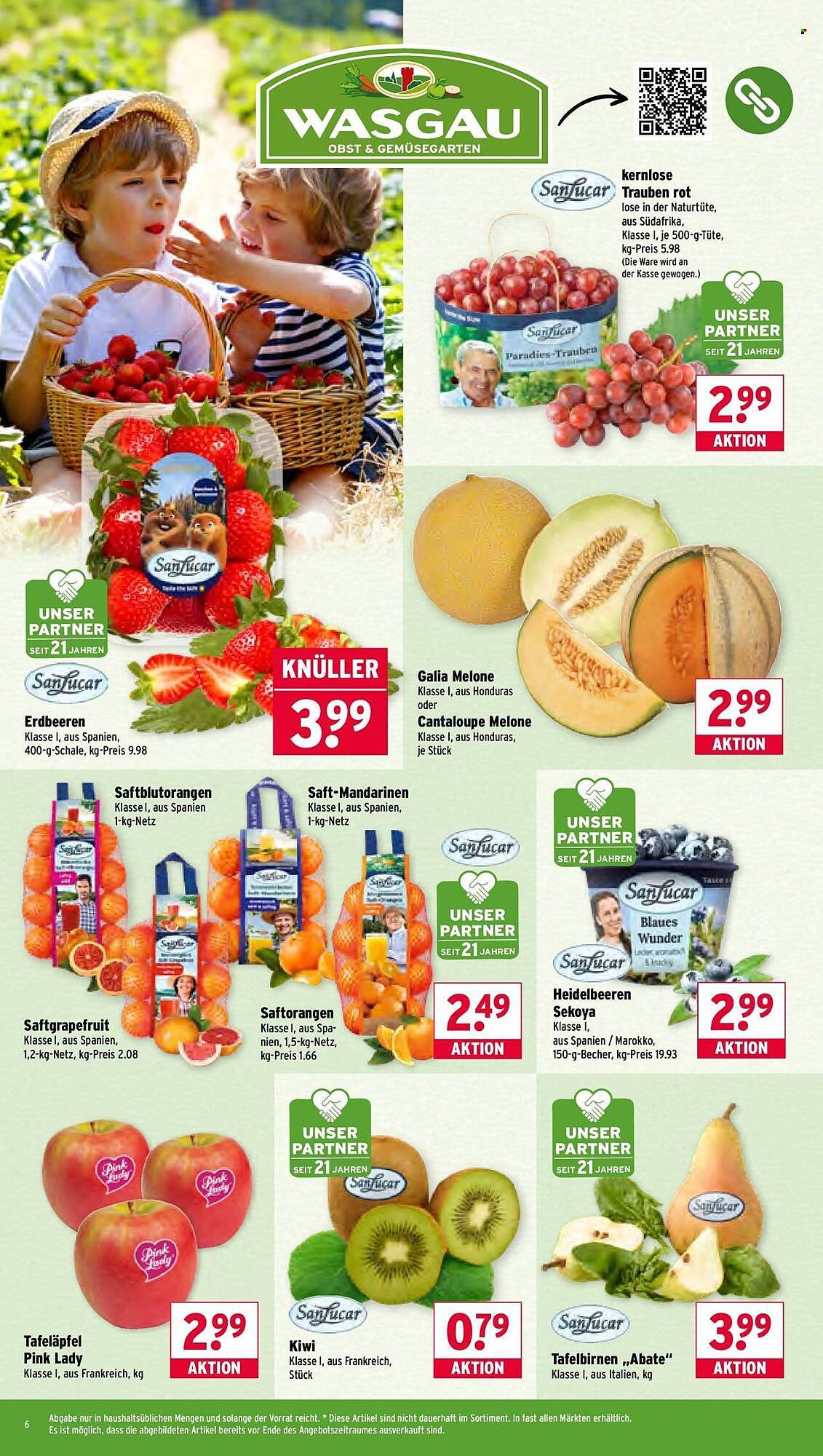 Wasgau Prospekt (2026-03-23 - 2026-03-28)