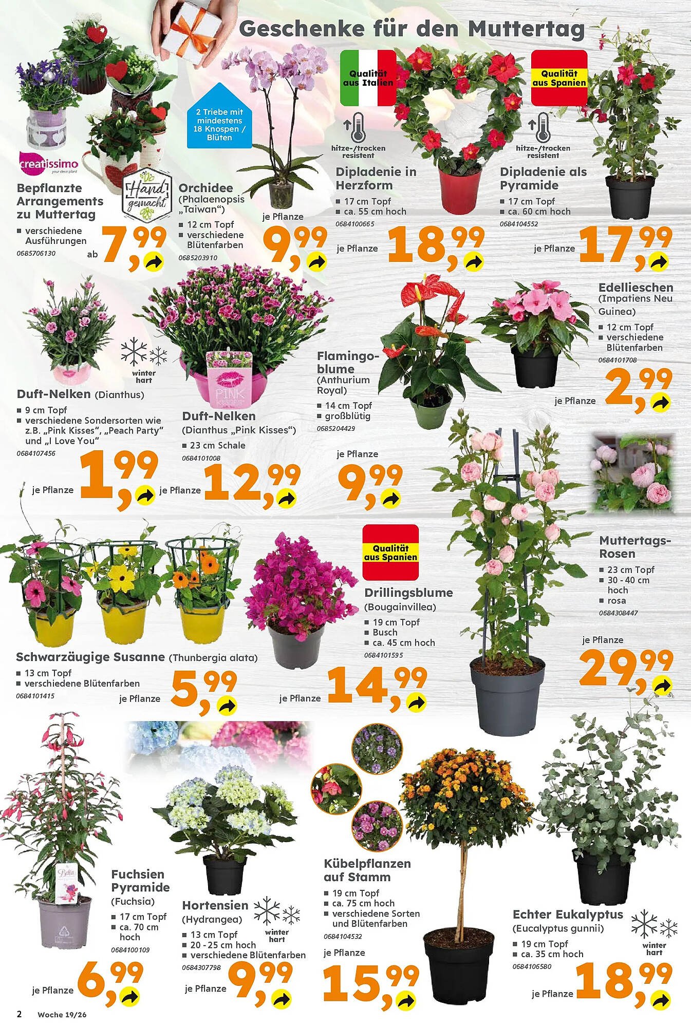 Globus Baumarkt Prospekt (2026-05-03 - 2026-05-09)
