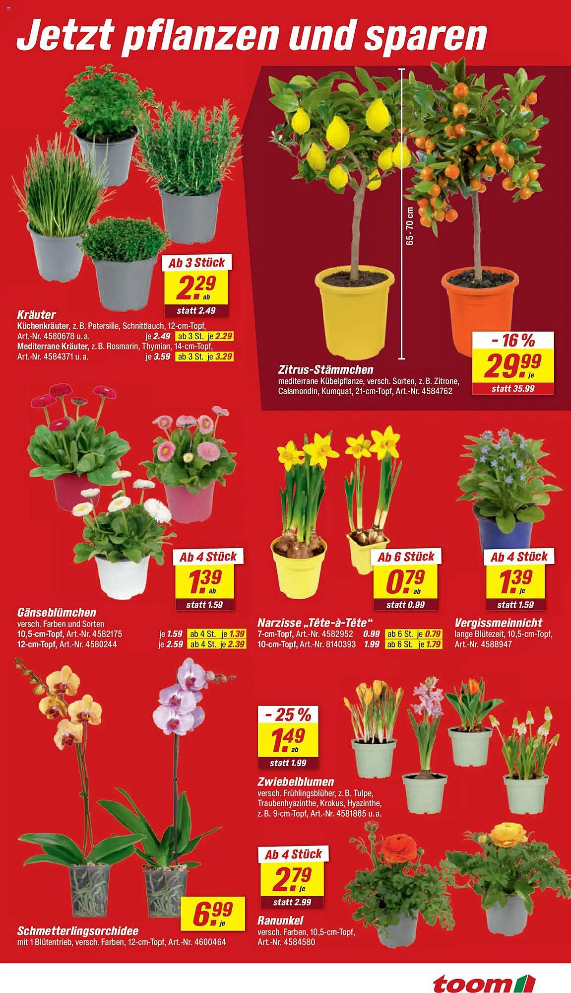 Toom Baumarkt Prospekt