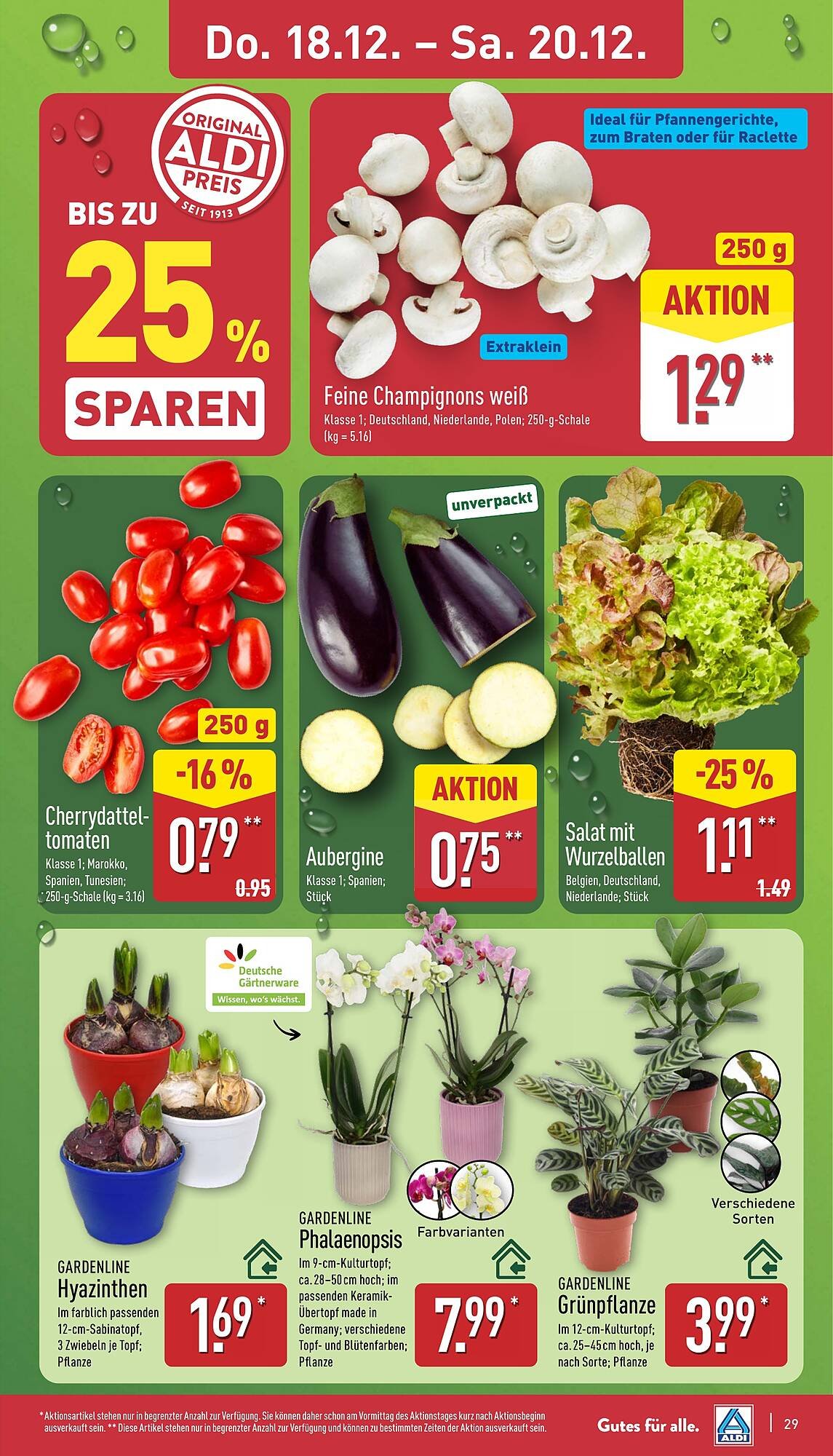 Aldi Nord Prospekt (2025-12-15 - 2025-12-20)