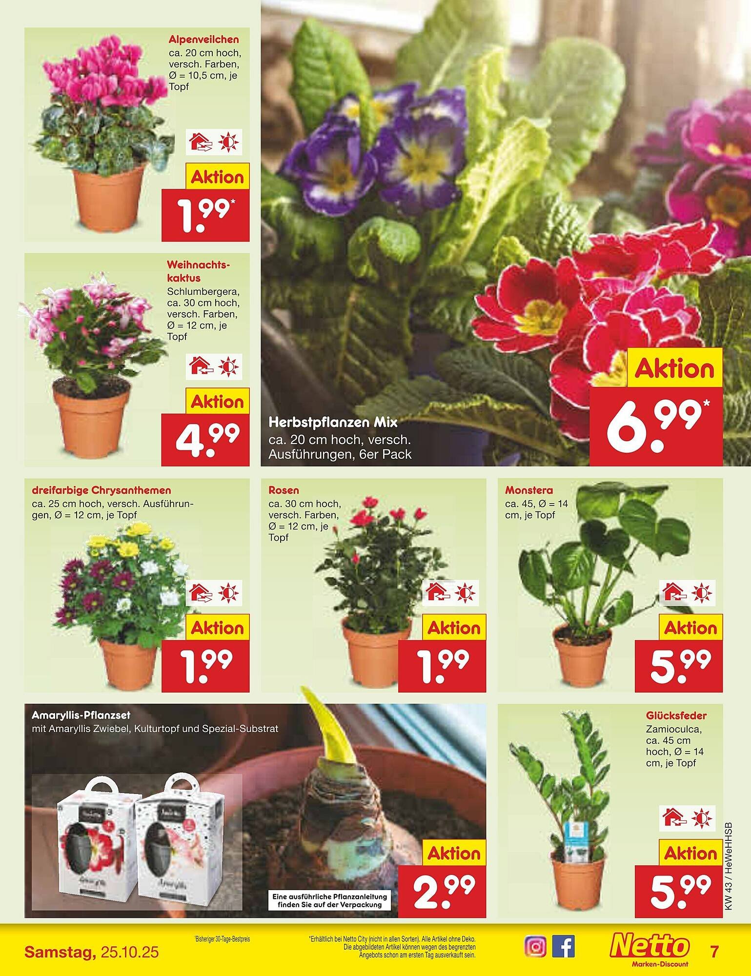 Netto Marken-Discount Prospekt (2025-10-20 - 2025-10-25) | 7