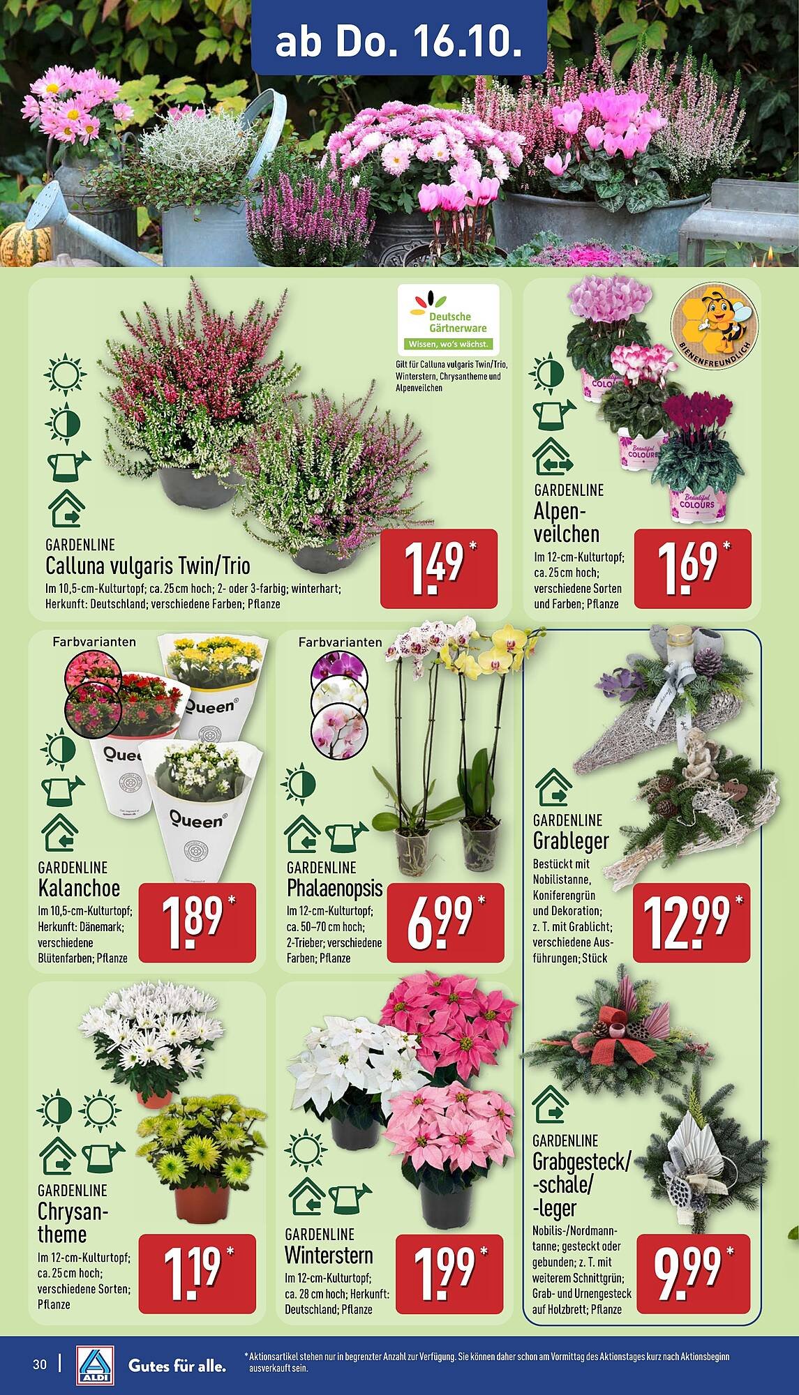 Aldi Nord Prospekt (2025-10-13 - 2025-10-19) | 30