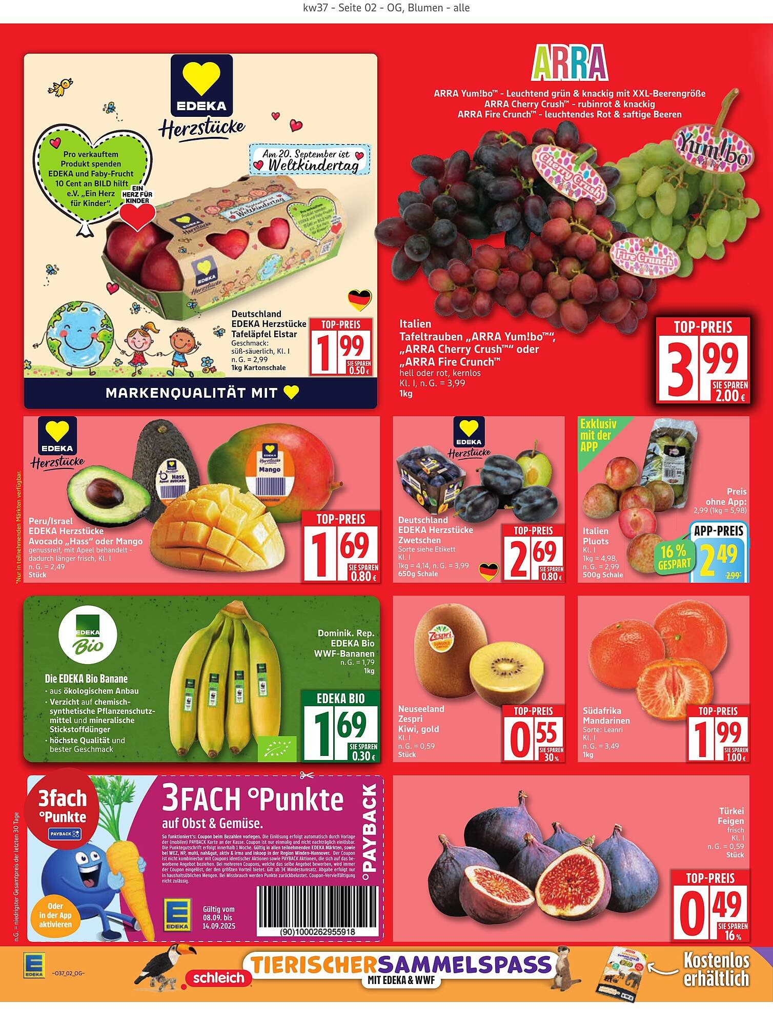 Edeka Prospekt (2025-09-08 - 2025-09-13) | 2