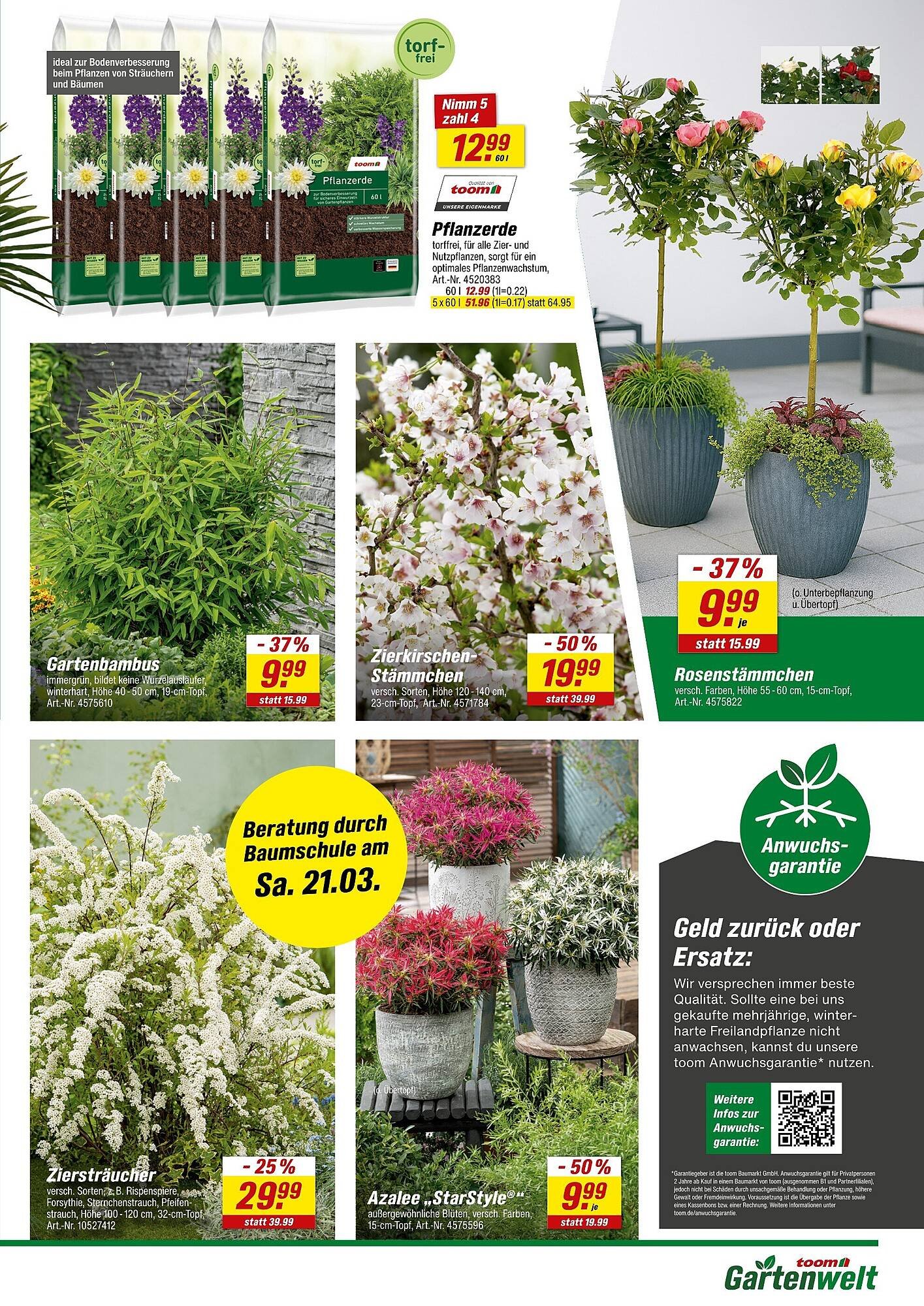 Toom Baumarkt Prospekt (2026-03-14 - 2026-03-21)