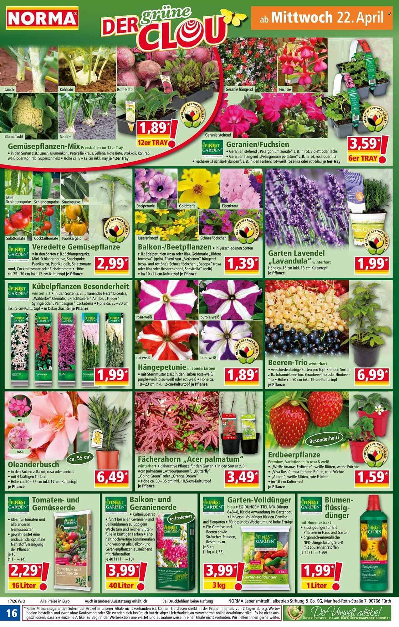 Norma Prospekt (2026-04-20 - 2026-04-26)