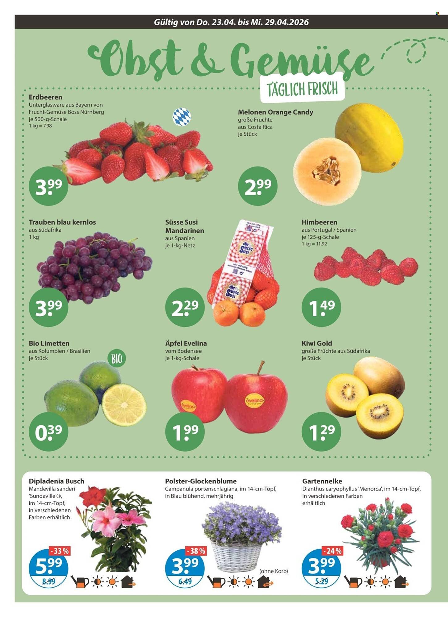 V Markt Prospekt (2026-04-23 - 2026-04-29)