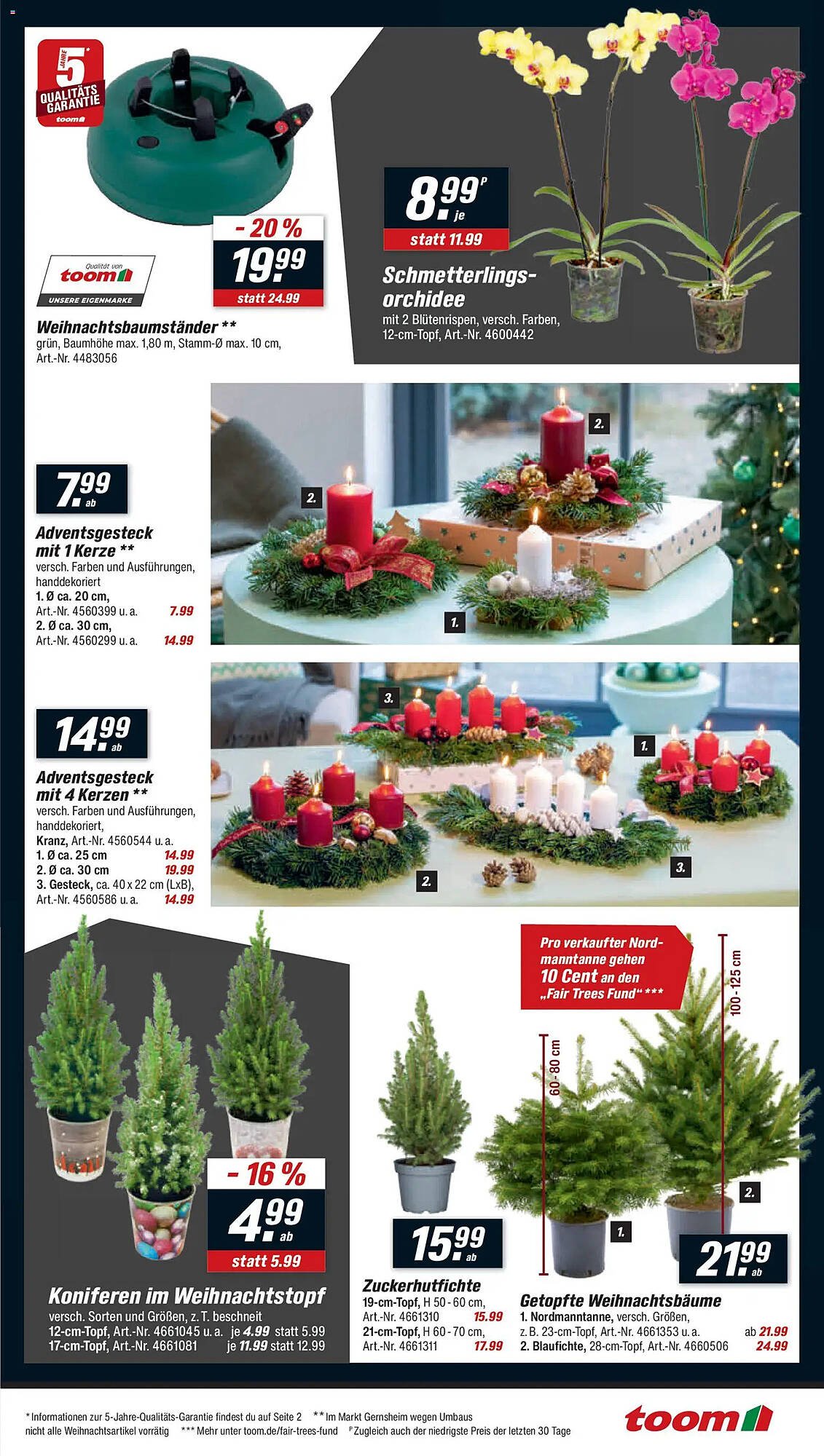 Toom Baumarkt Prospekt (2025-11-22 - 2025-11-28)