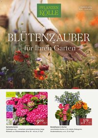 Pflanzen Kölle Prospekt