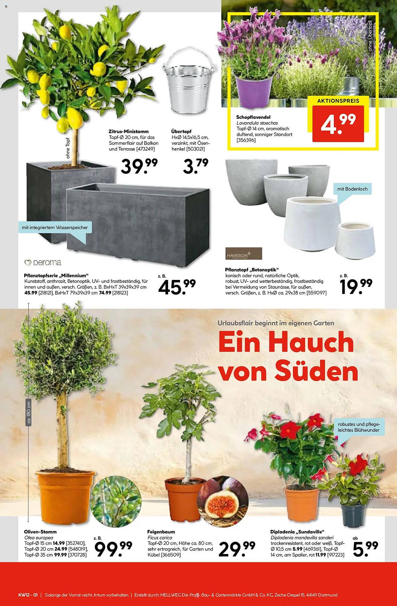 Hellweg Prospekt (2026-03-16 - 2026-03-21)