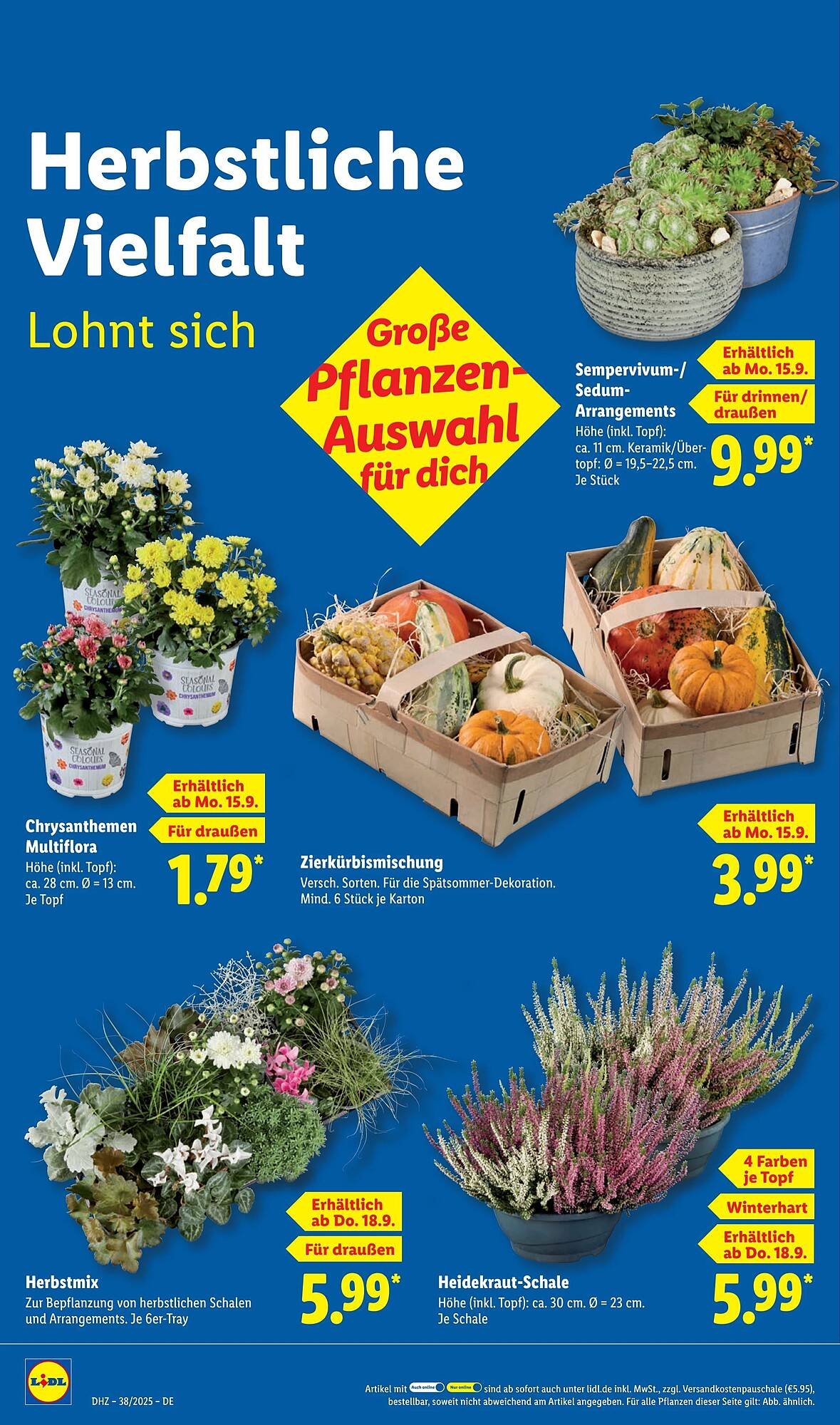 Lidl Prospekt (2025-09-15 - 2025-09-21)