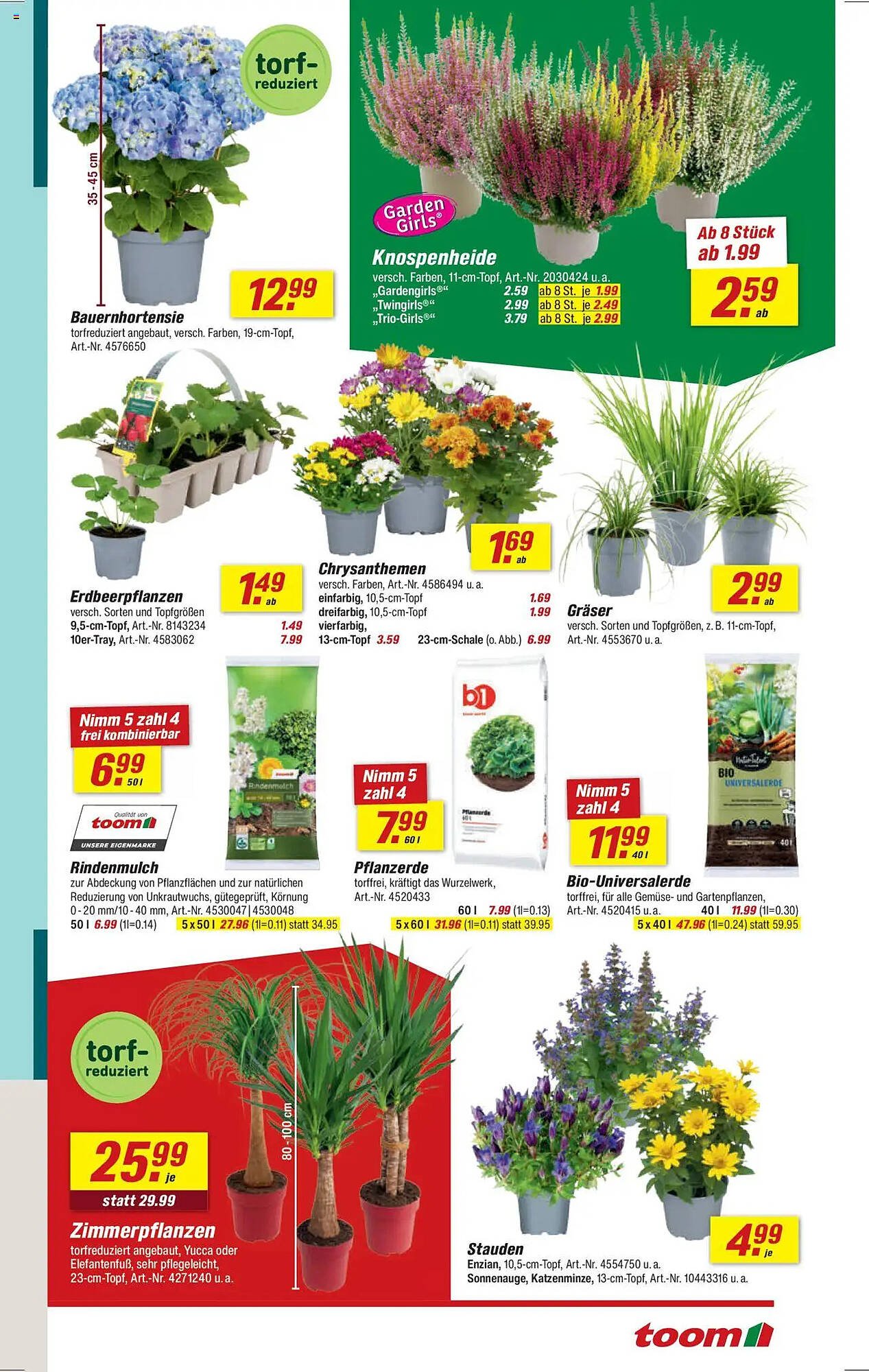 toom Baumarkt Prospekt (2025-08-11 - 2025-08-24) | 3