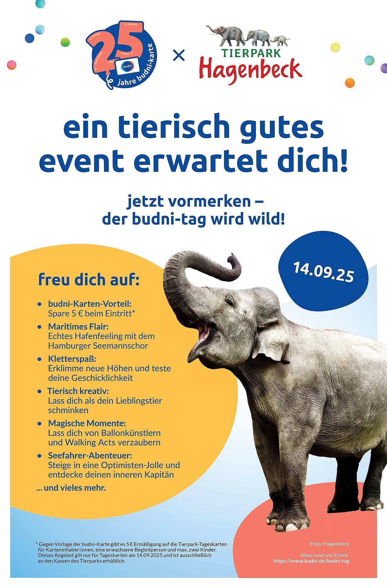 Budni Prospekt (2025-08-04 - 2025-08-09) | 9