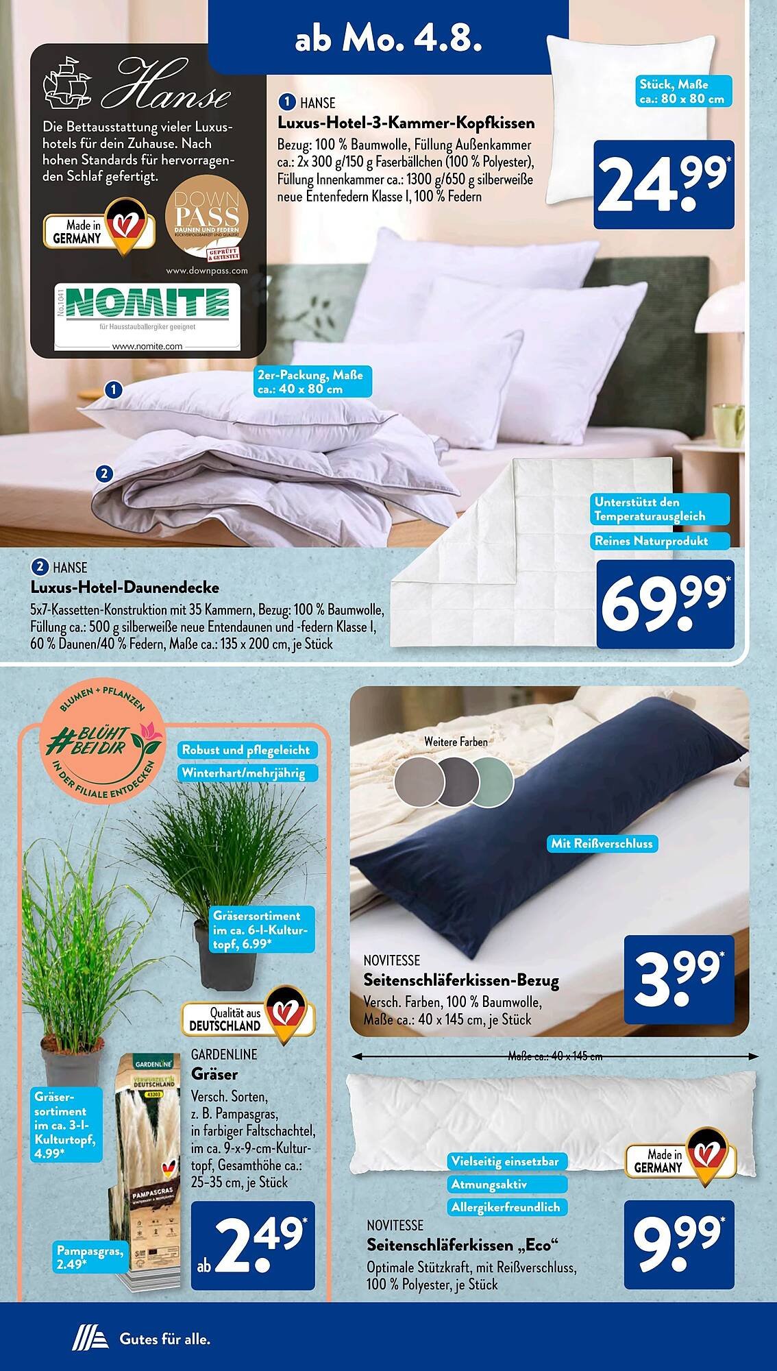 Aldi Süd Prospekt (2025-08-04 - 2025-08-10) | 2
