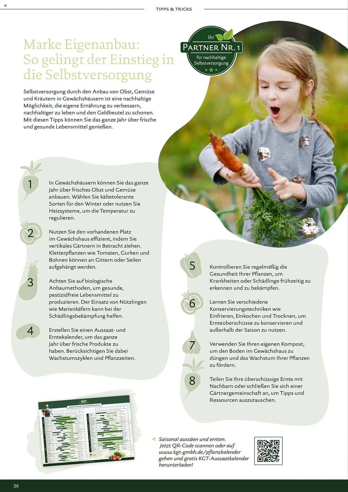 Dehner Prospekt (2026-01-01 - 2026-12-31)