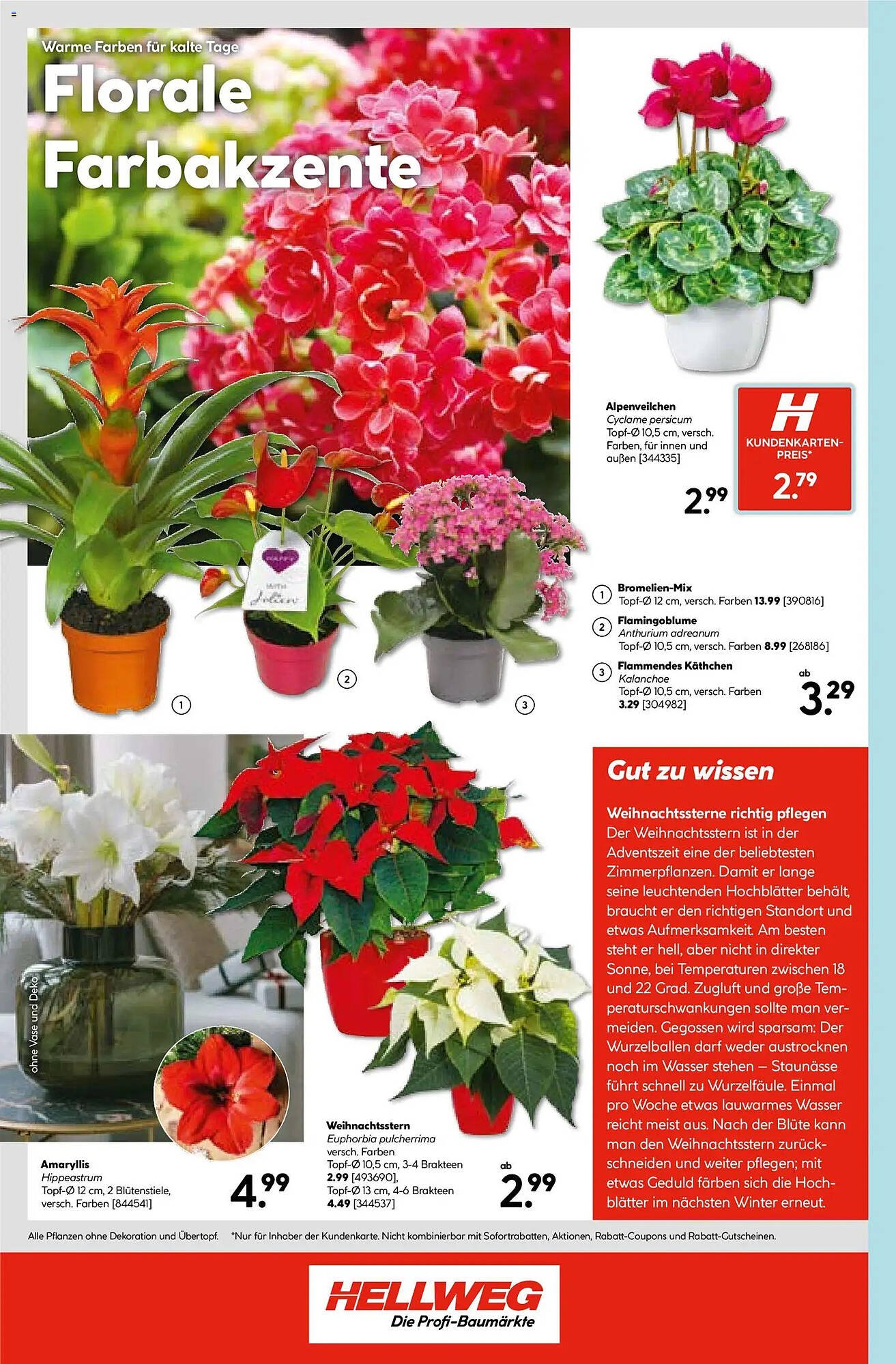 Hellweg Prospekt (2025-10-27 - 2025-11-01)