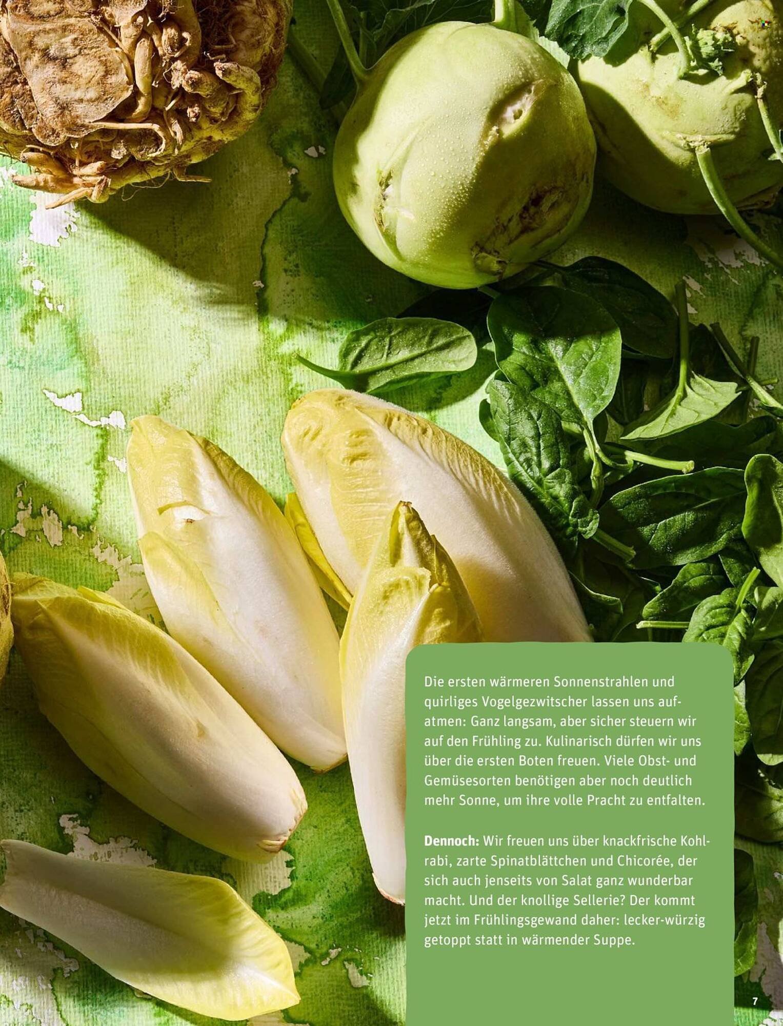 REWE Magazin (2026-03-04 - 2026-03-12)