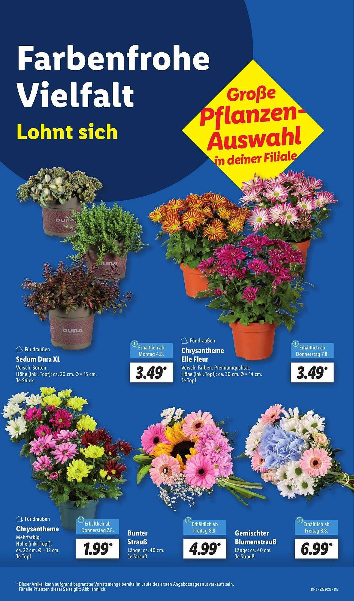 Lidl Prospekt (2025-08-04 - 2025-08-10) | 13