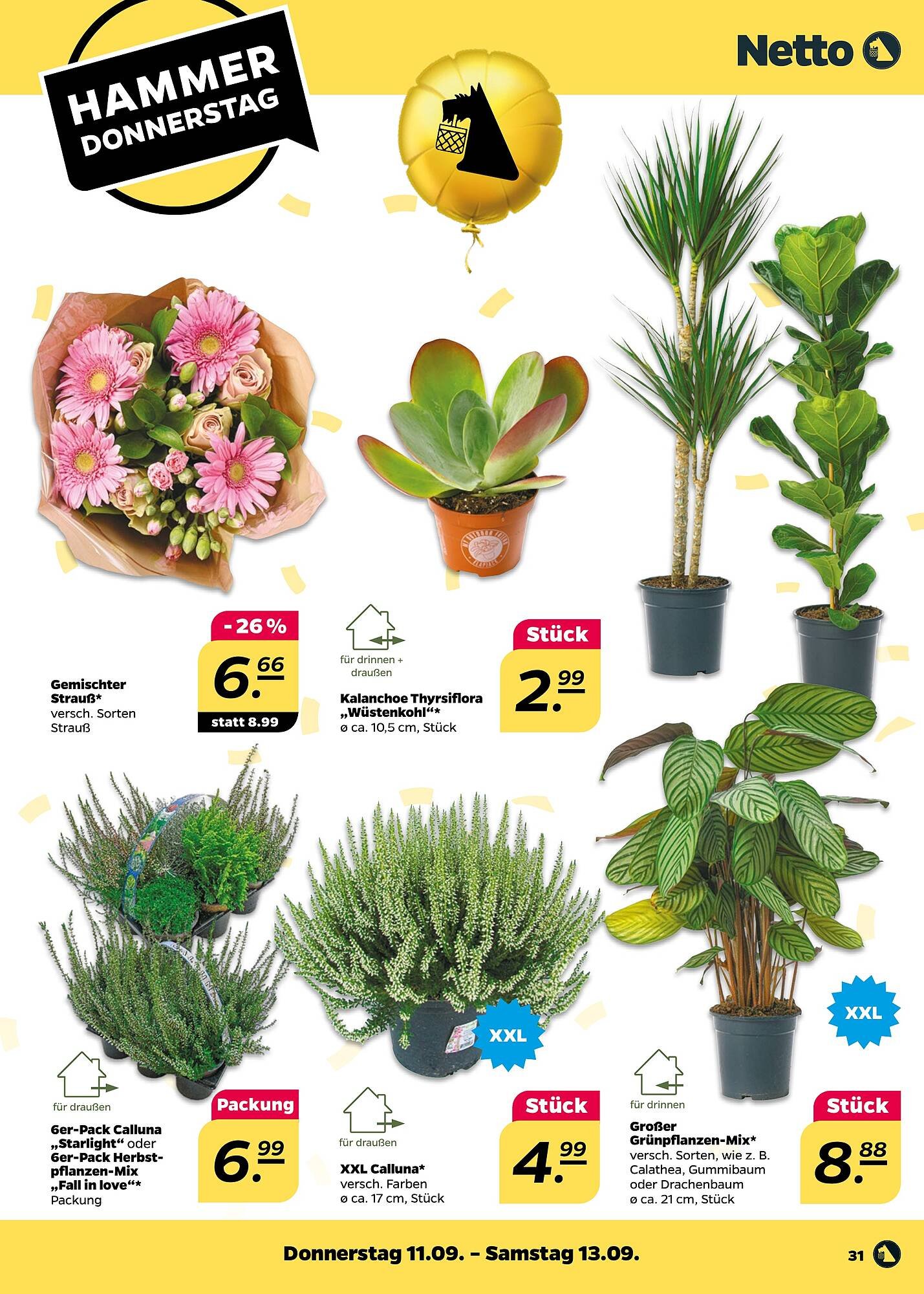 NETTO Prospekt (2025-09-08 - 2025-09-13) | 31