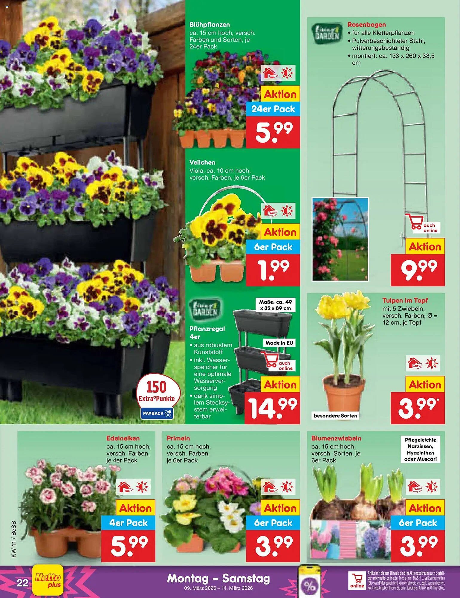 Netto Marken-Discount Prospekt (2026-03-09 - 2026-03-14)
